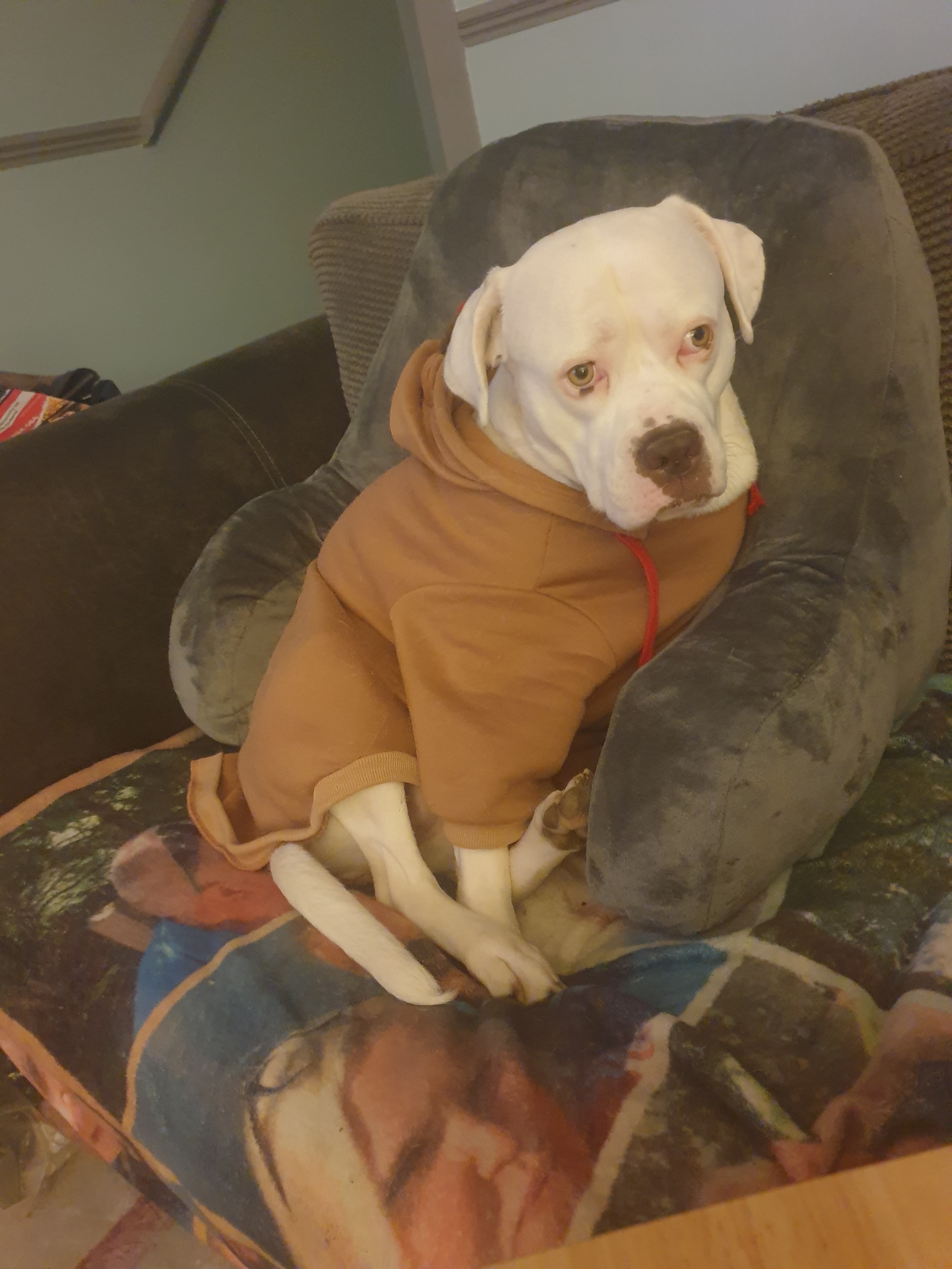 My big girl needs emergency operation campaign photo, 4 of 7