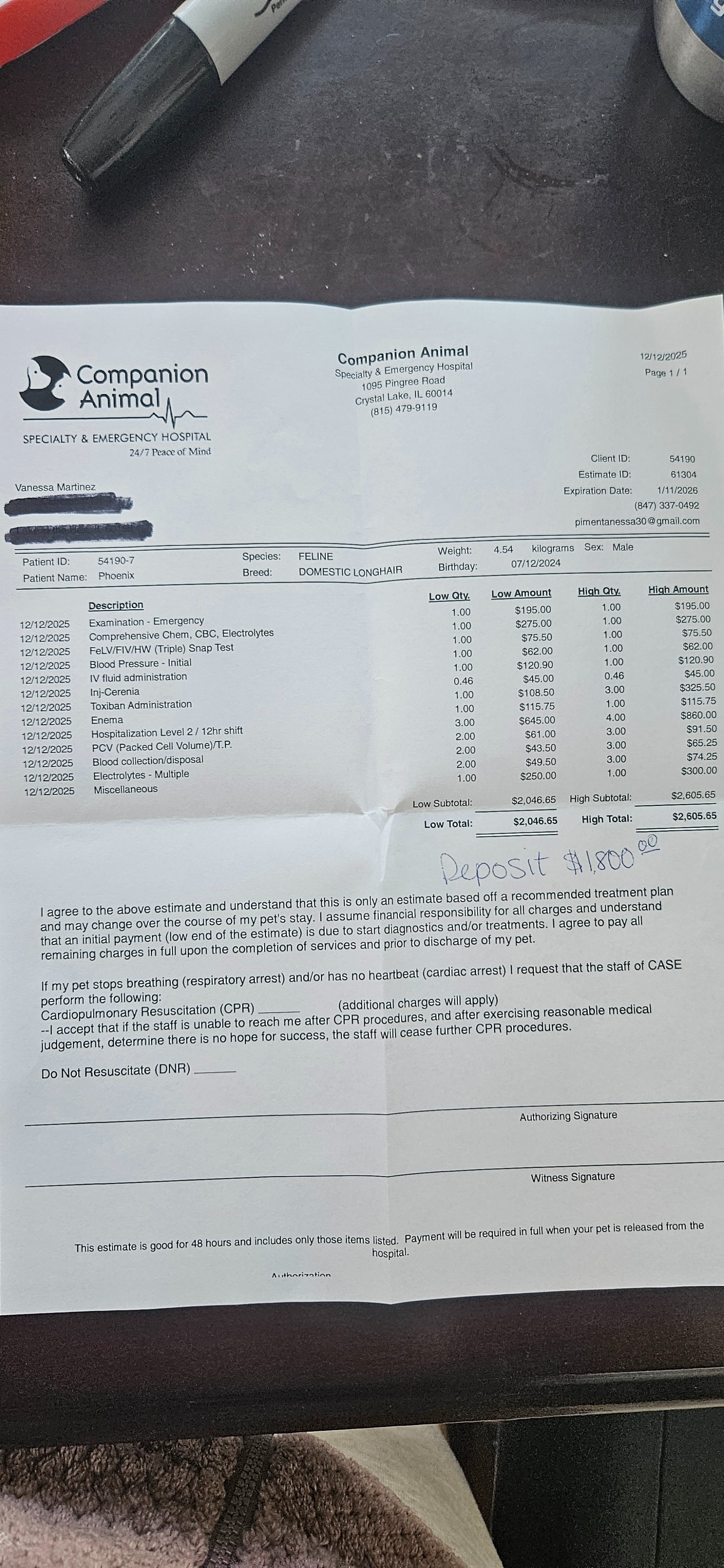 Support My Rescue Cat’s Vet Bills campaign photo, 2 of 5