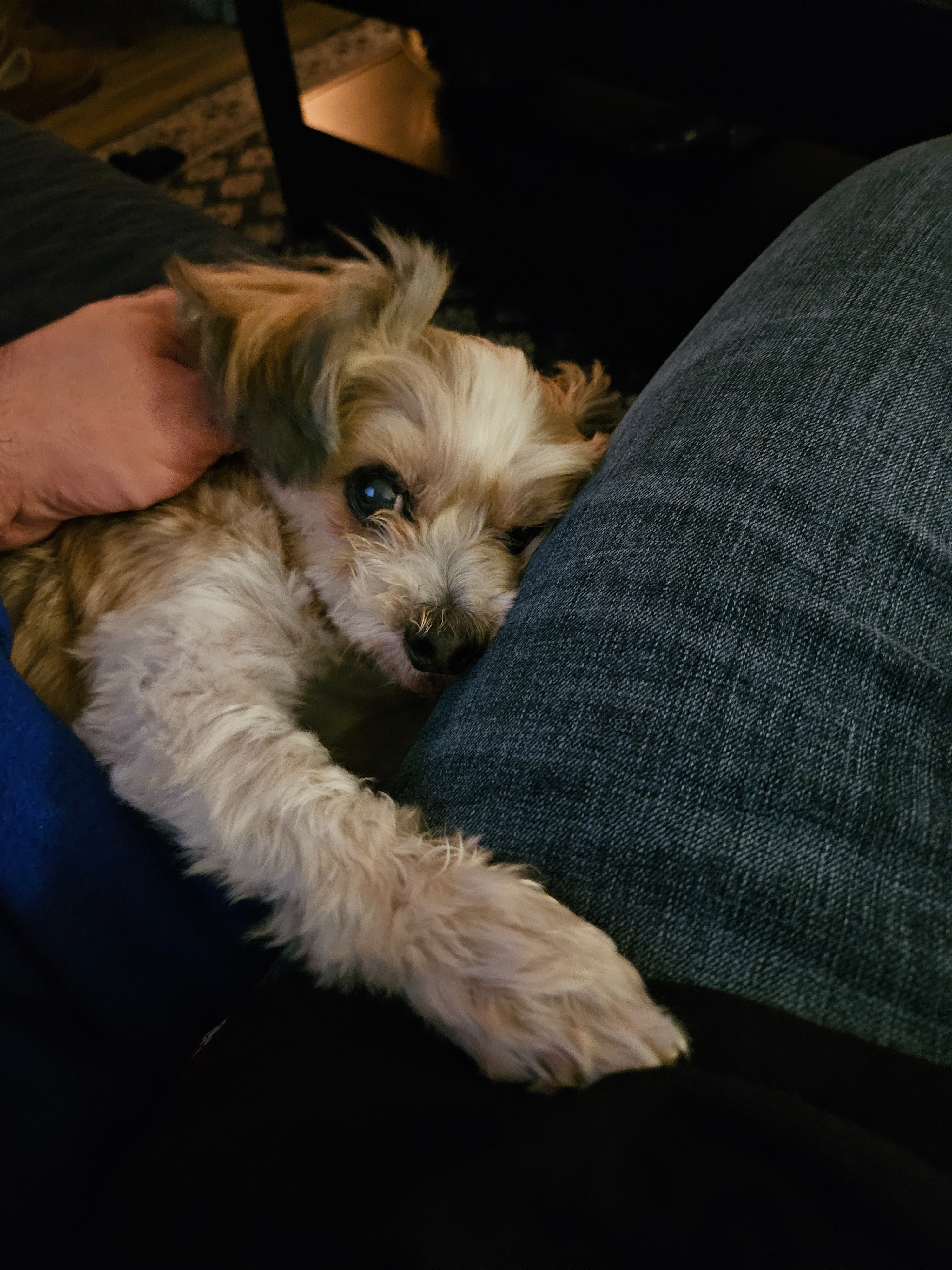 Support Charles' Surgery for Bladder Stones campaign photo, 6 of 7