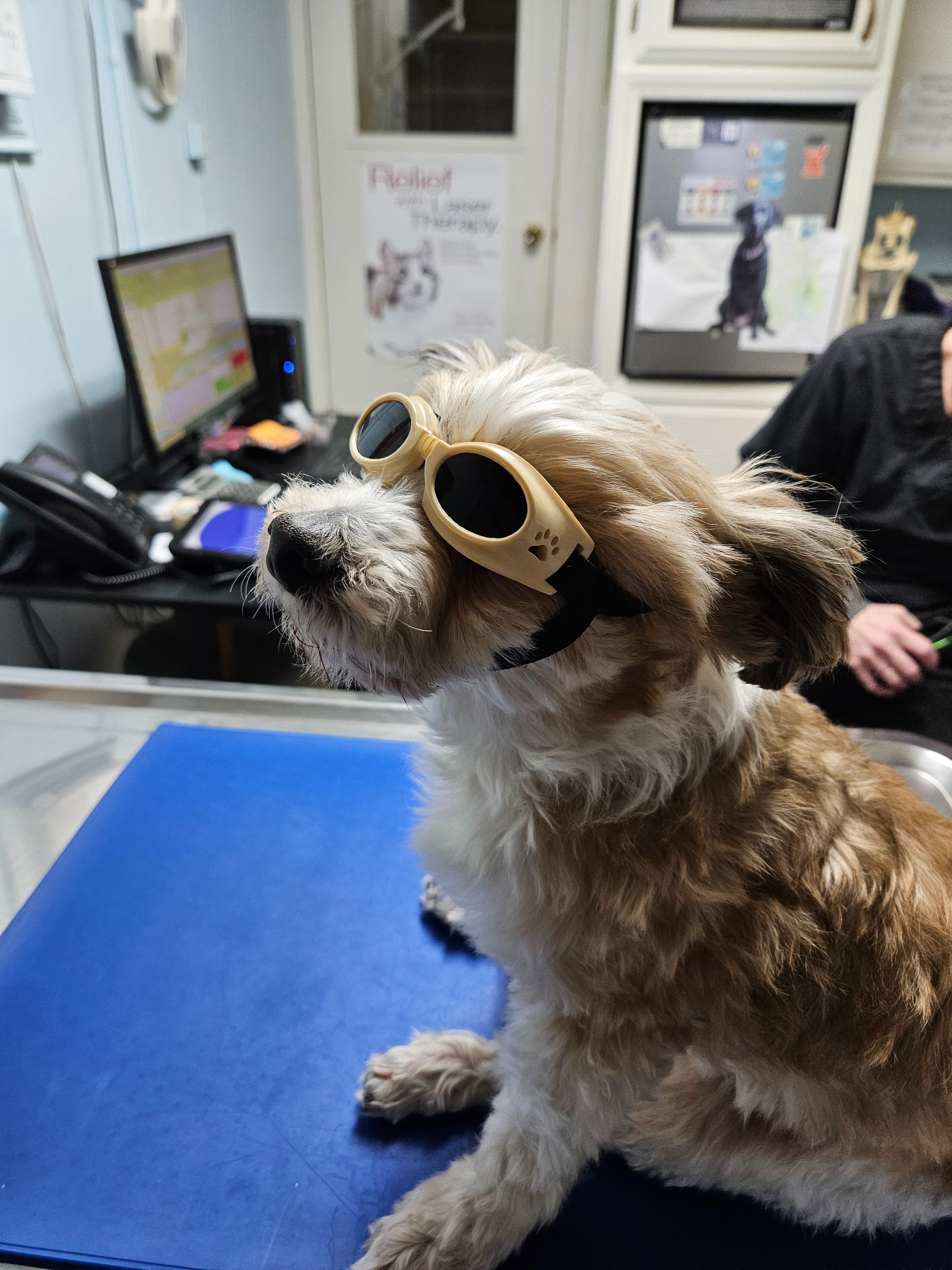 Support Charles' Surgery for Bladder Stones campaign photo, 2 of 7