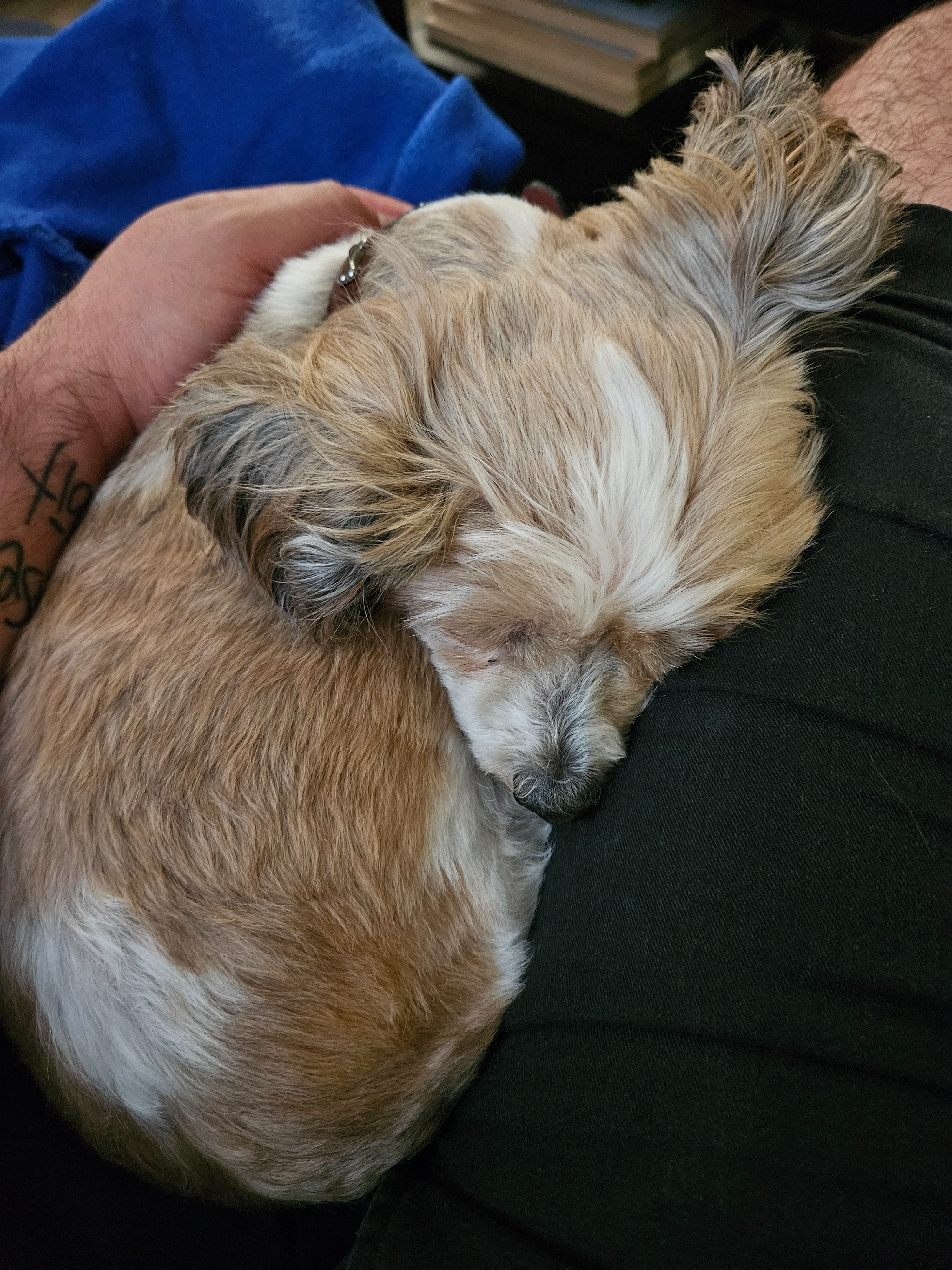 Support Charles' Surgery for Bladder Stones campaign photo, 4 of 7