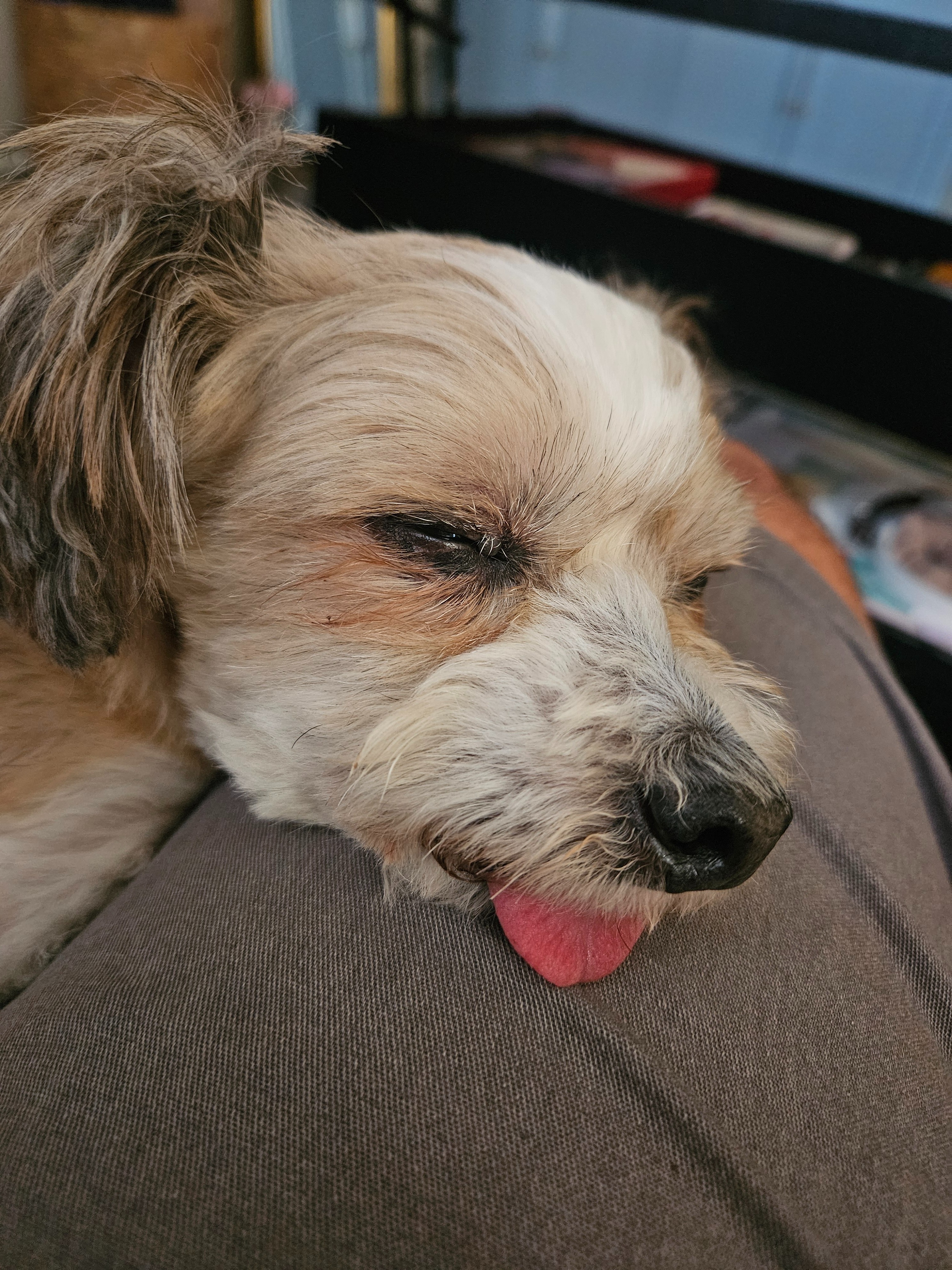 Support Charles' Surgery for Bladder Stones campaign photo, 5 of 7