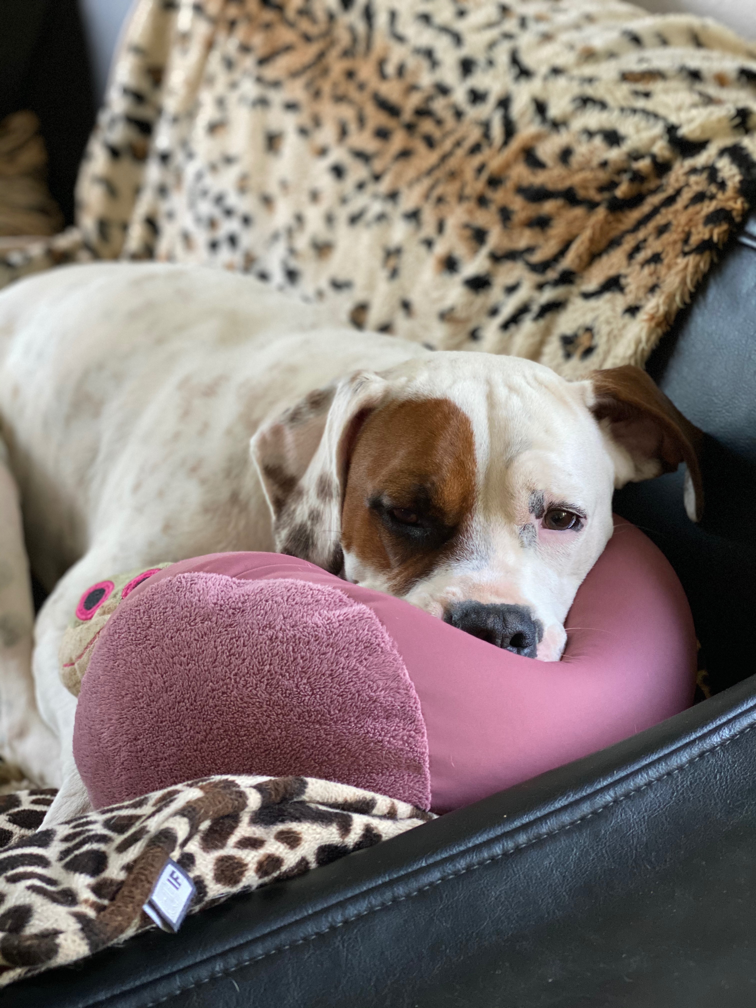 Chemotherapie x2 – wir brauchen eure Hilfe! campaign photo, 4 of 7