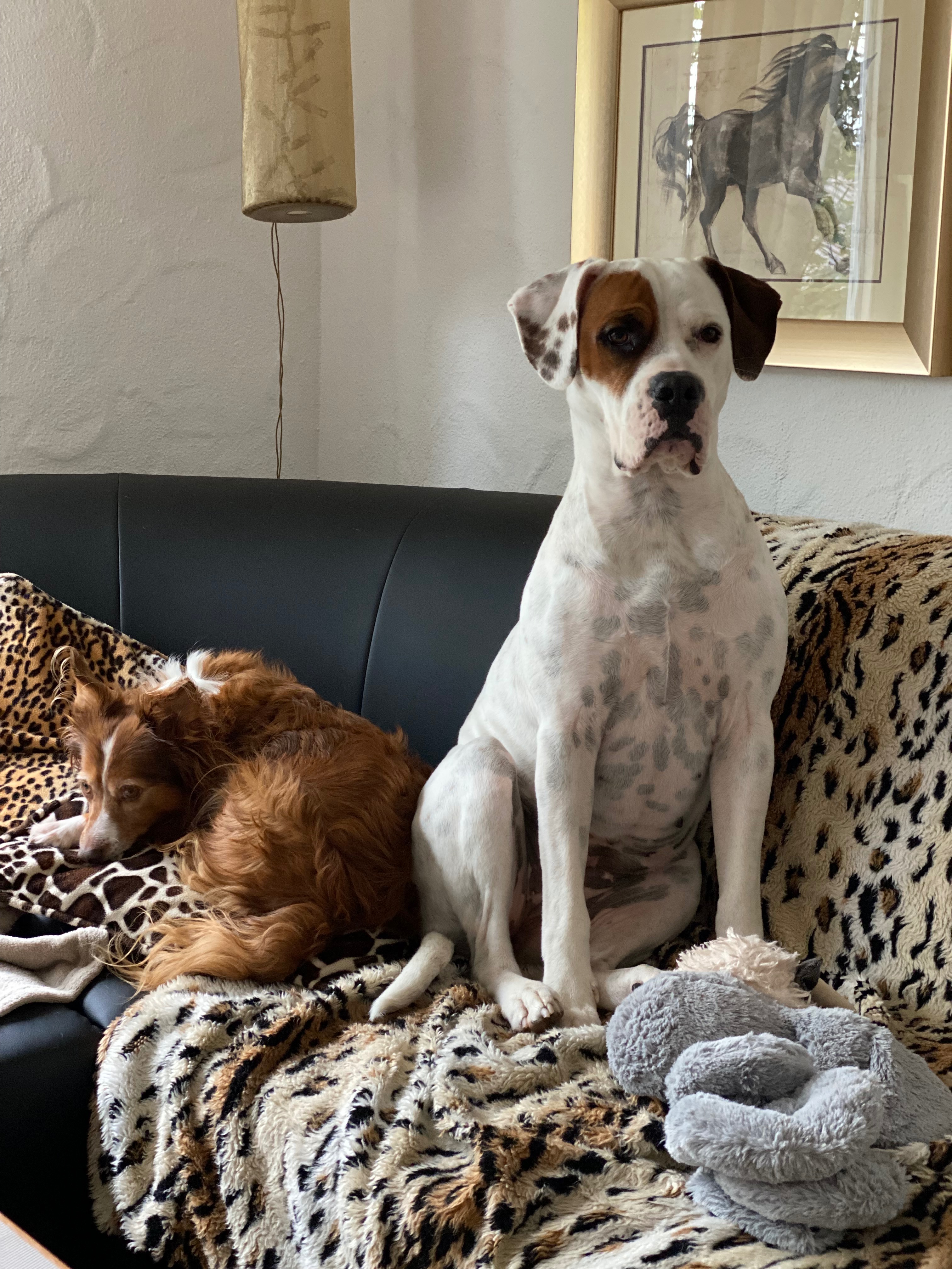 Chemotherapie x2 – wir brauchen eure Hilfe! campaign photo, 5 of 7
