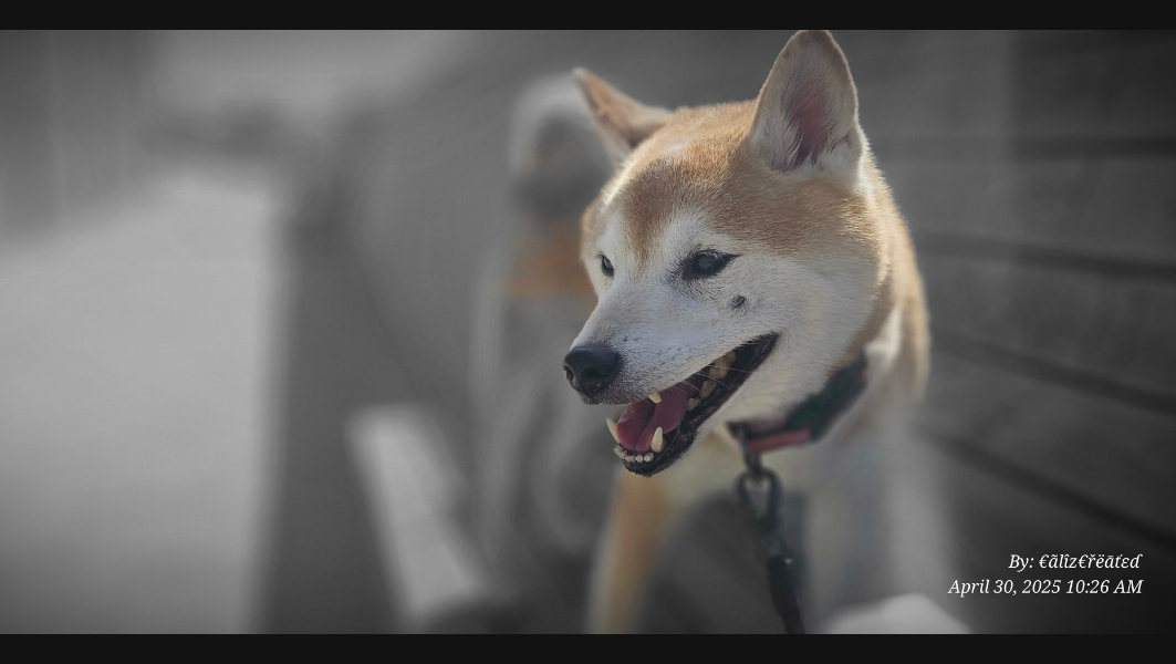 Fundraiser image