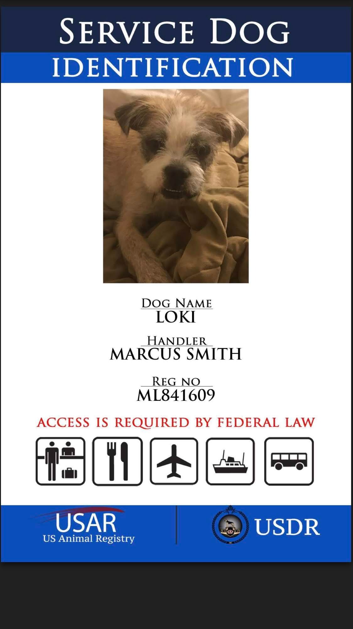 Help Marcus Avoid Third Spinal Surgery campaign photo, 2 of 8