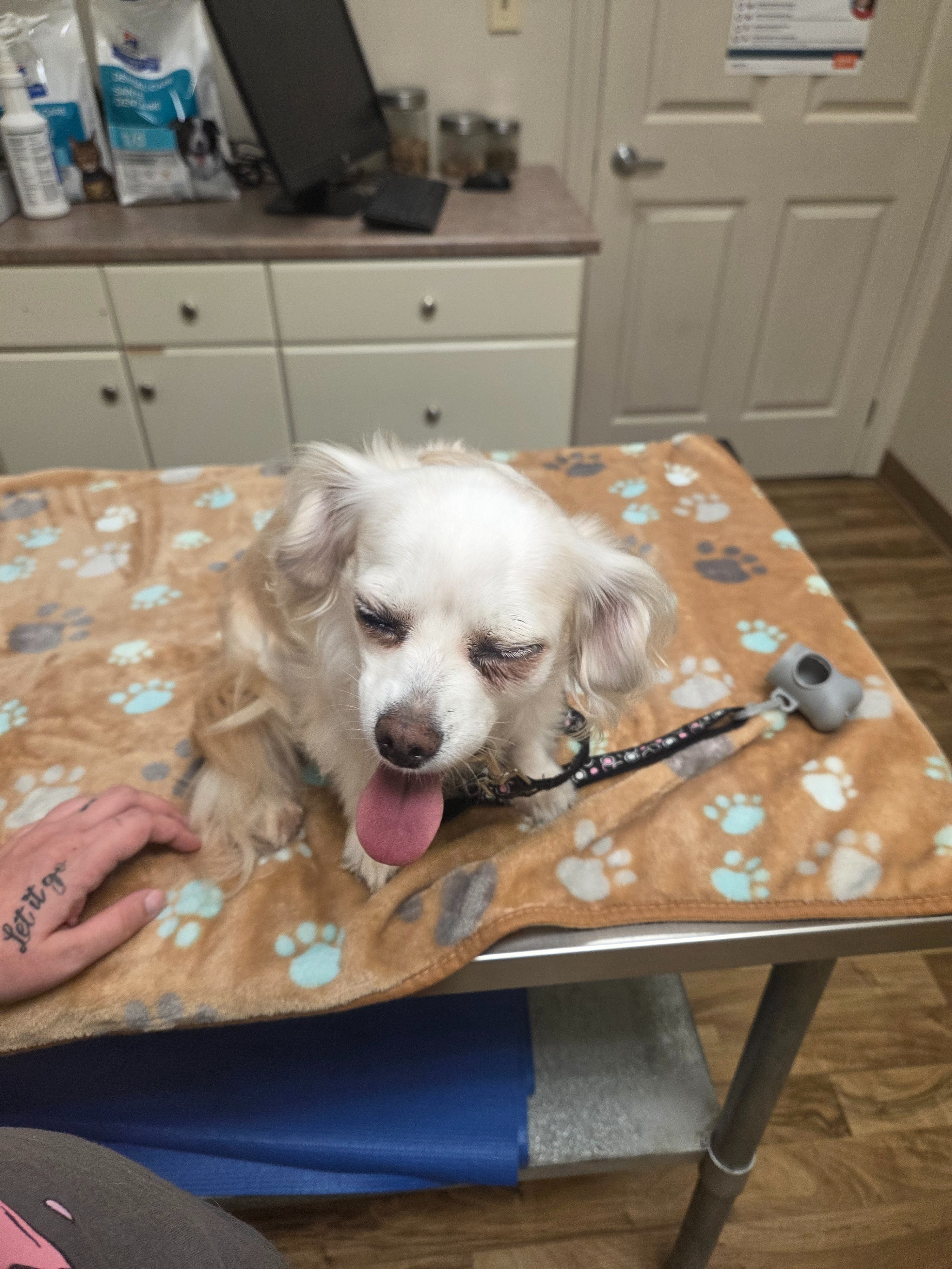 Help Lady Heal- Emergency Care needed campaign photo, 2 of 5