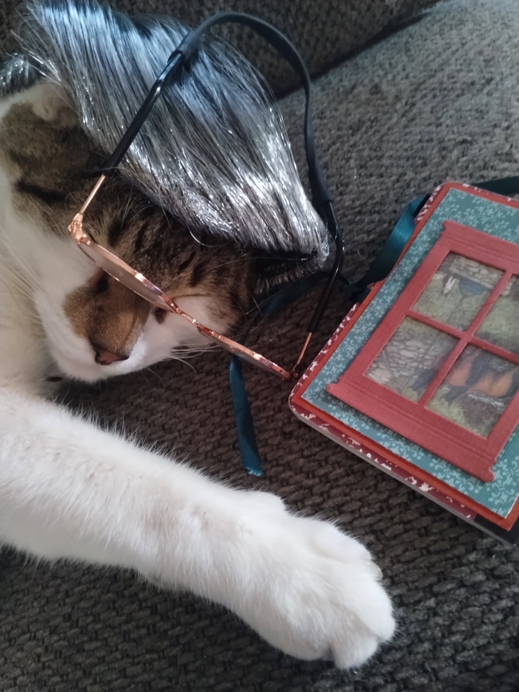 Help Bring Arlo Home After Emergency Surgery campaign photo, 7 of 7