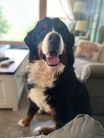 Help Oliver Get the Surgery He Needs campaign photo, 4 of 7