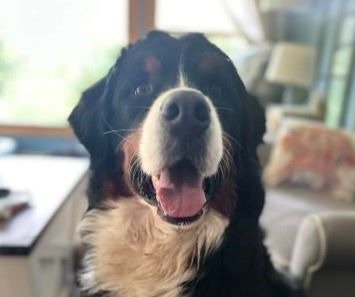 Help Oliver Get the Surgery He Needs campaign photo, 5 of 7