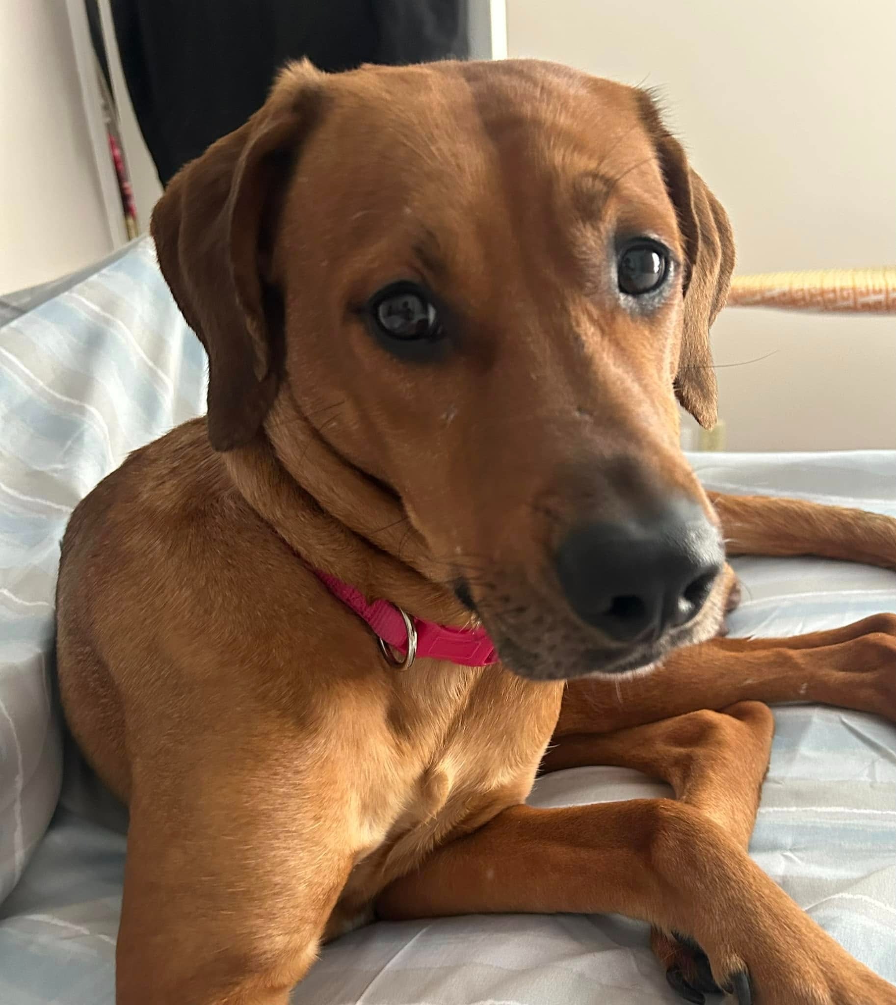 Fundraiser by Tammy York Day : Support Kirk Stone’s Recovery Journey