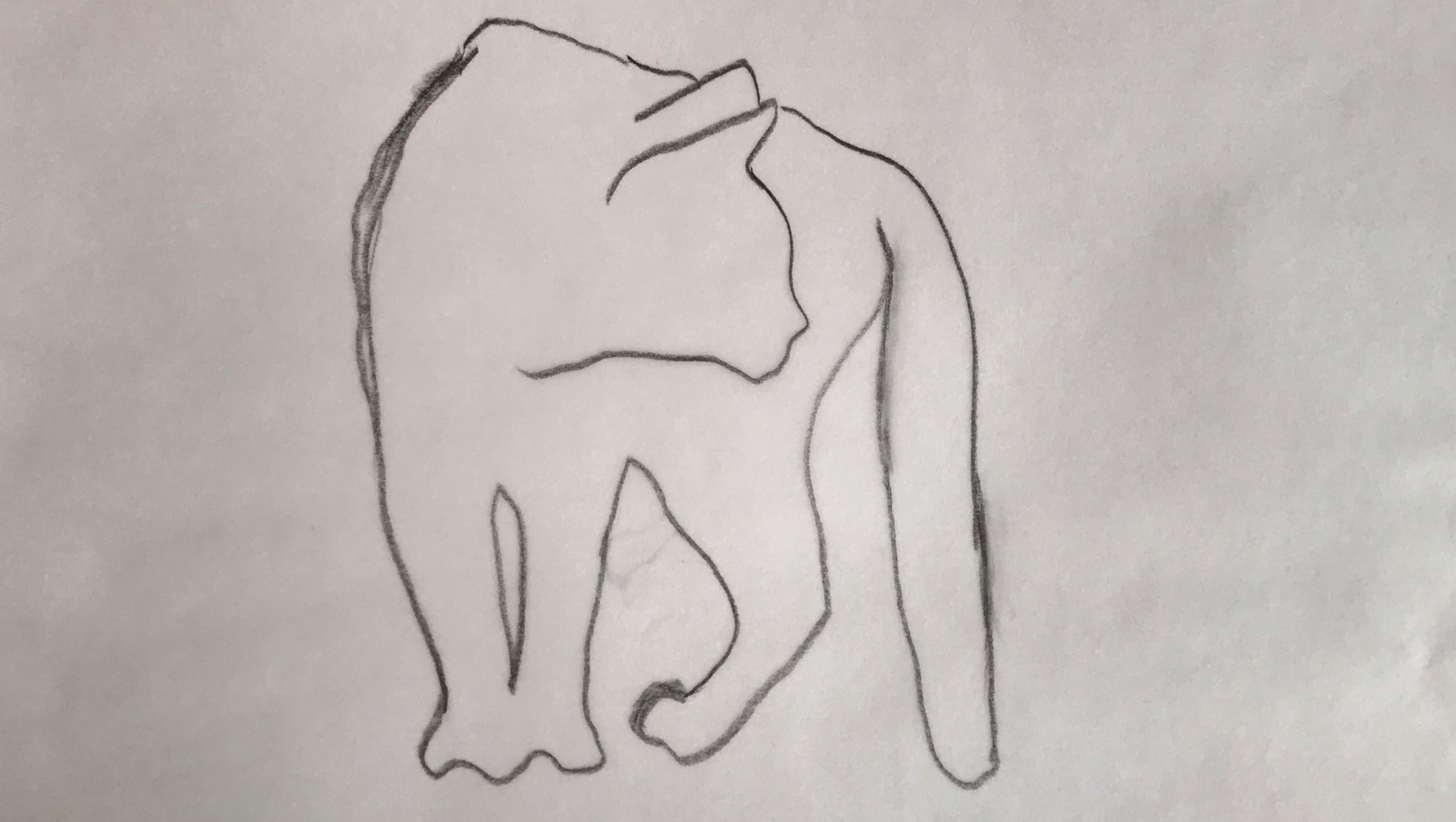 Fundraiser image