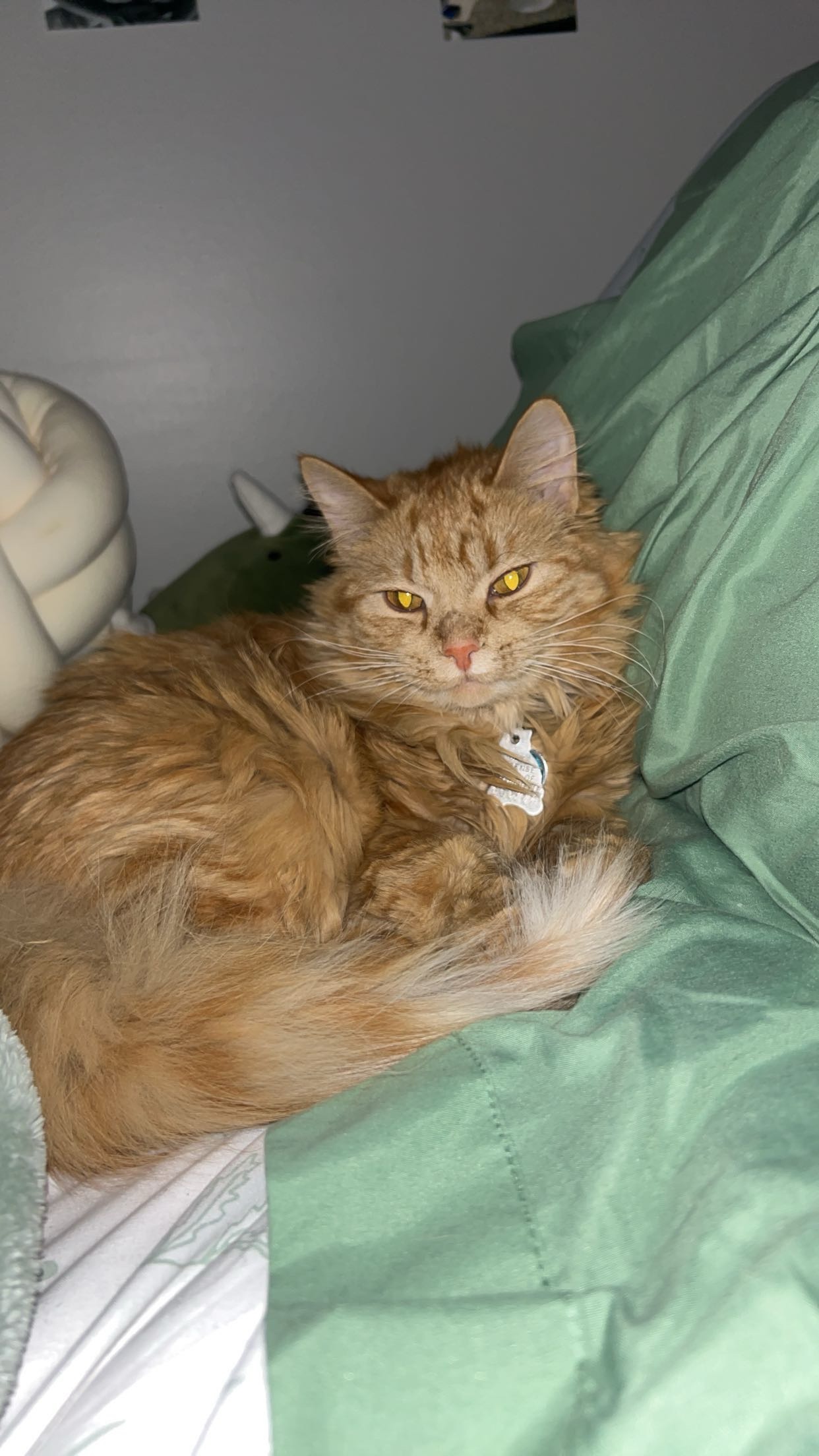 Support for Amren's Surgery Costs campaign photo, 4 of 5