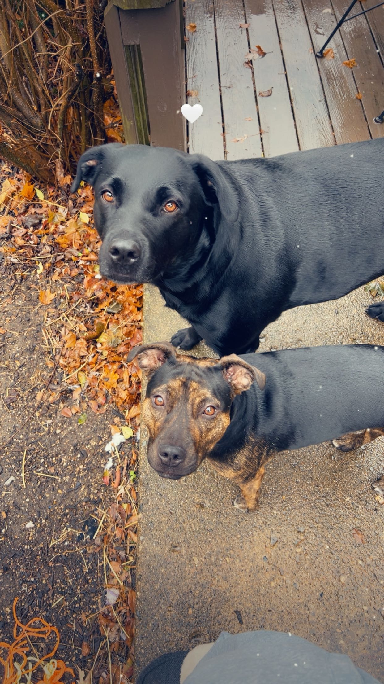 Help Ruka Get Her Surgery and Therapy campaign photo, 2 of 6