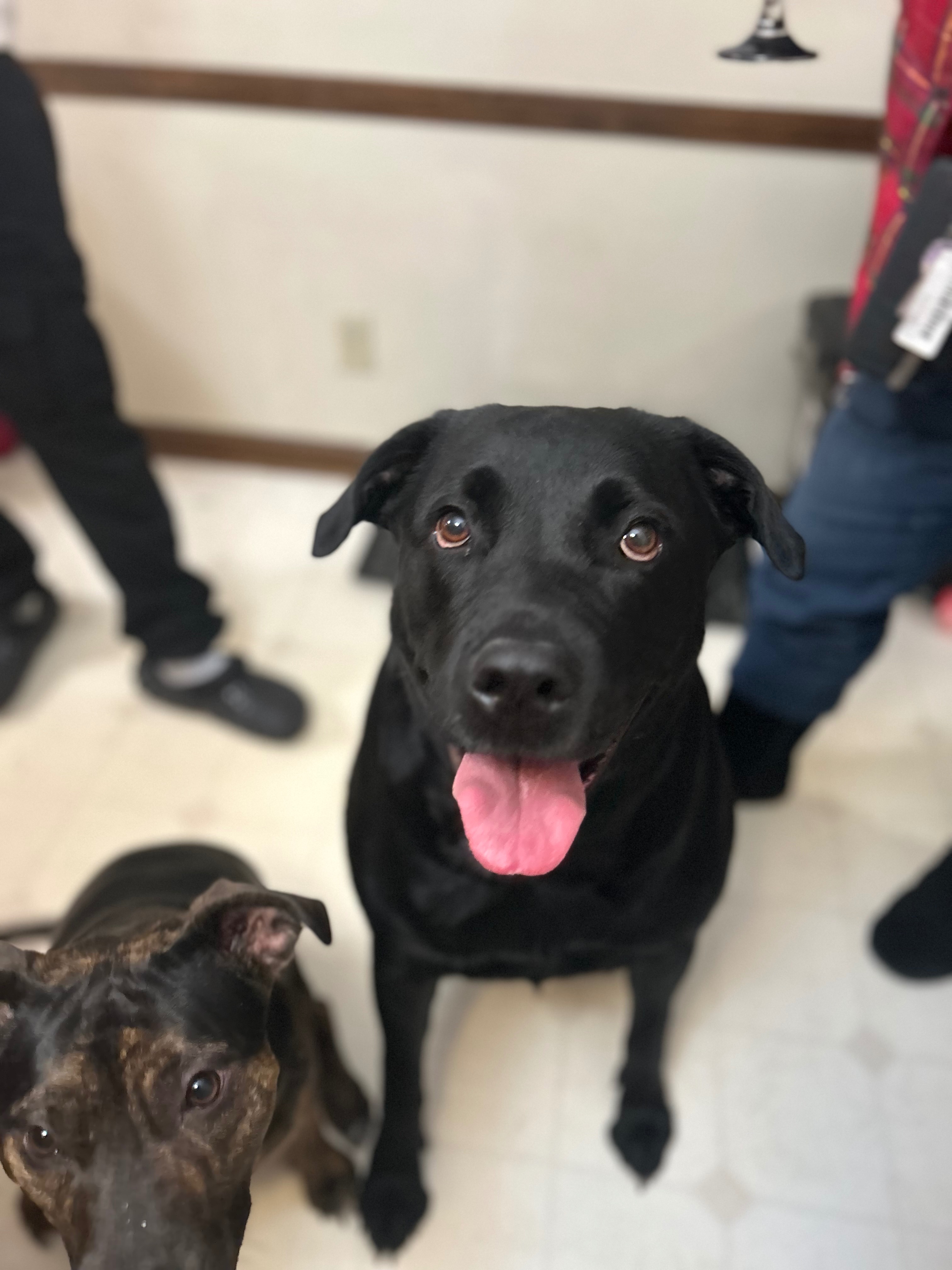 Help Ruka Get Her Surgery and Therapy campaign photo, 4 of 6