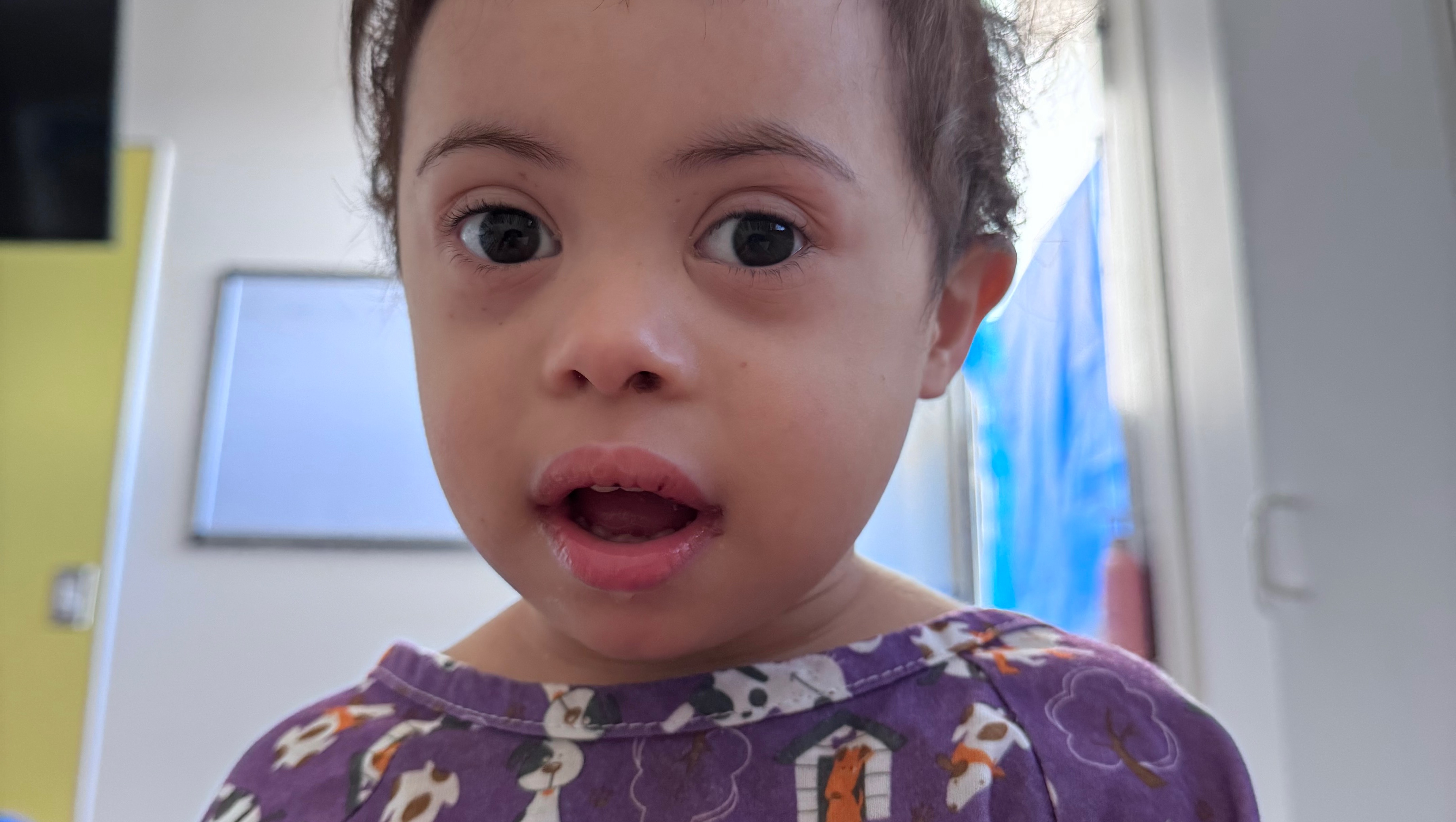 Zaylen Fundraiser for Luis Fernandez by Leslie Boyd : Support Zaylen Fernandez ...