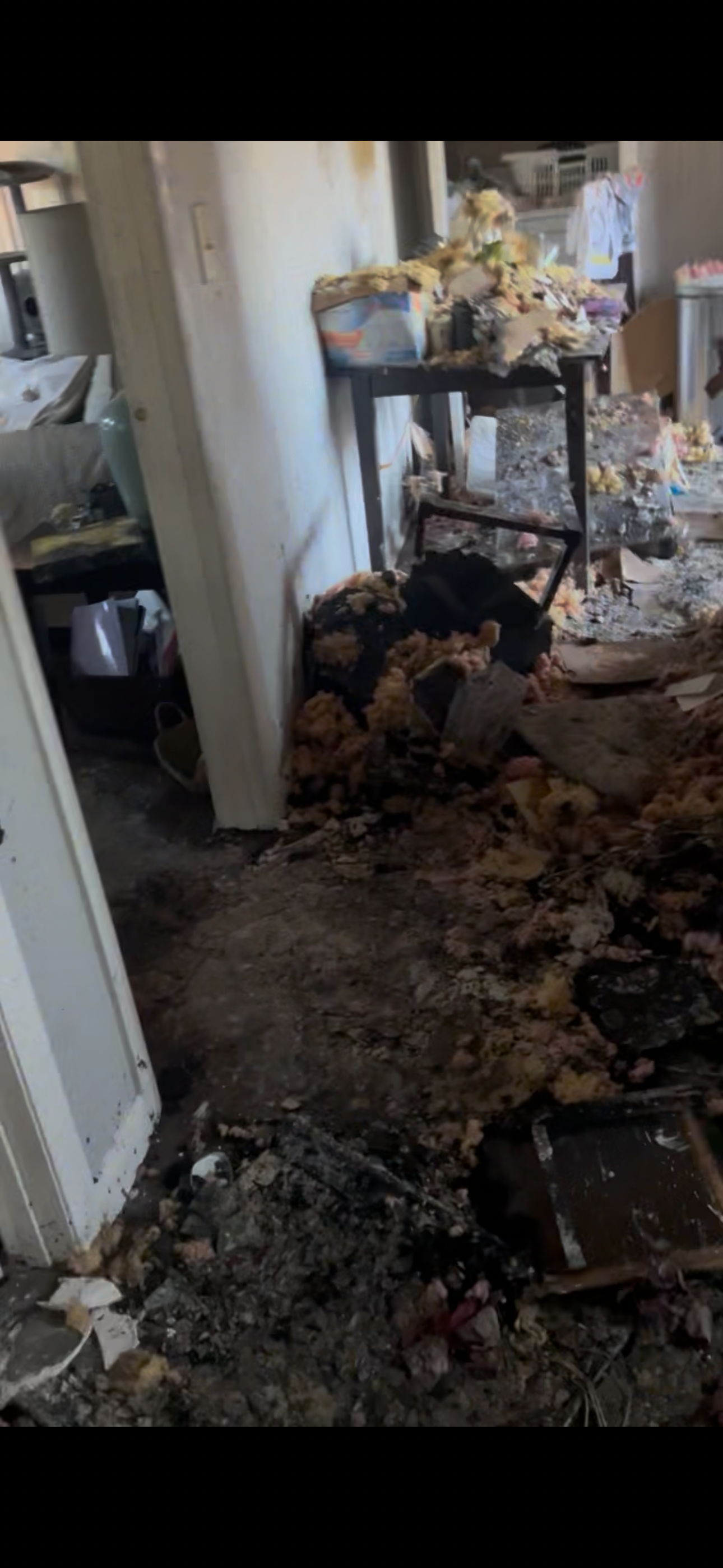 Help My Mom Rebuild After House Fire campaign photo, 4 of 8