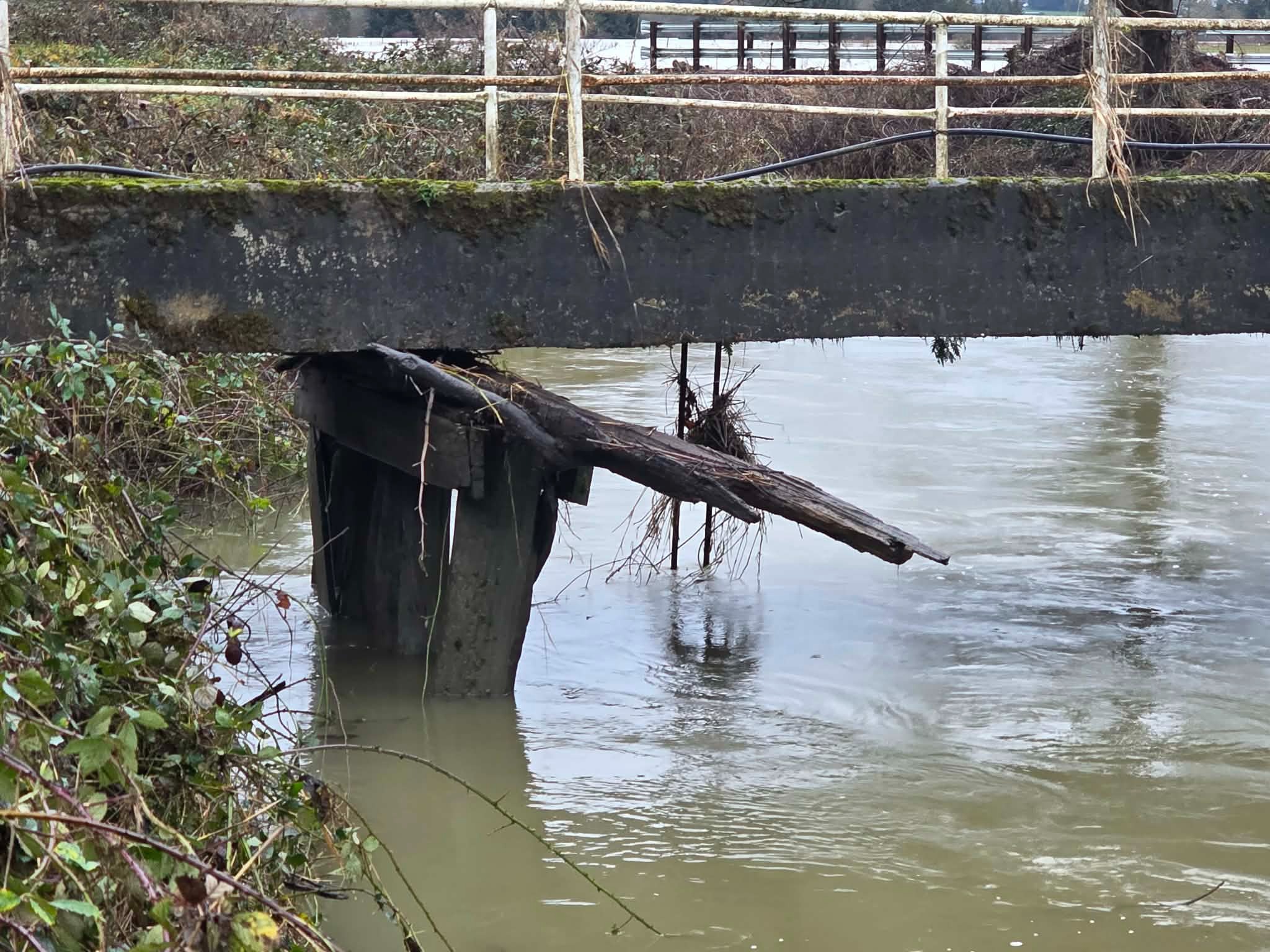 Help Cherry Creek Farm Rebuild After Catastrophic Flood campaign photo, 2 of 6
