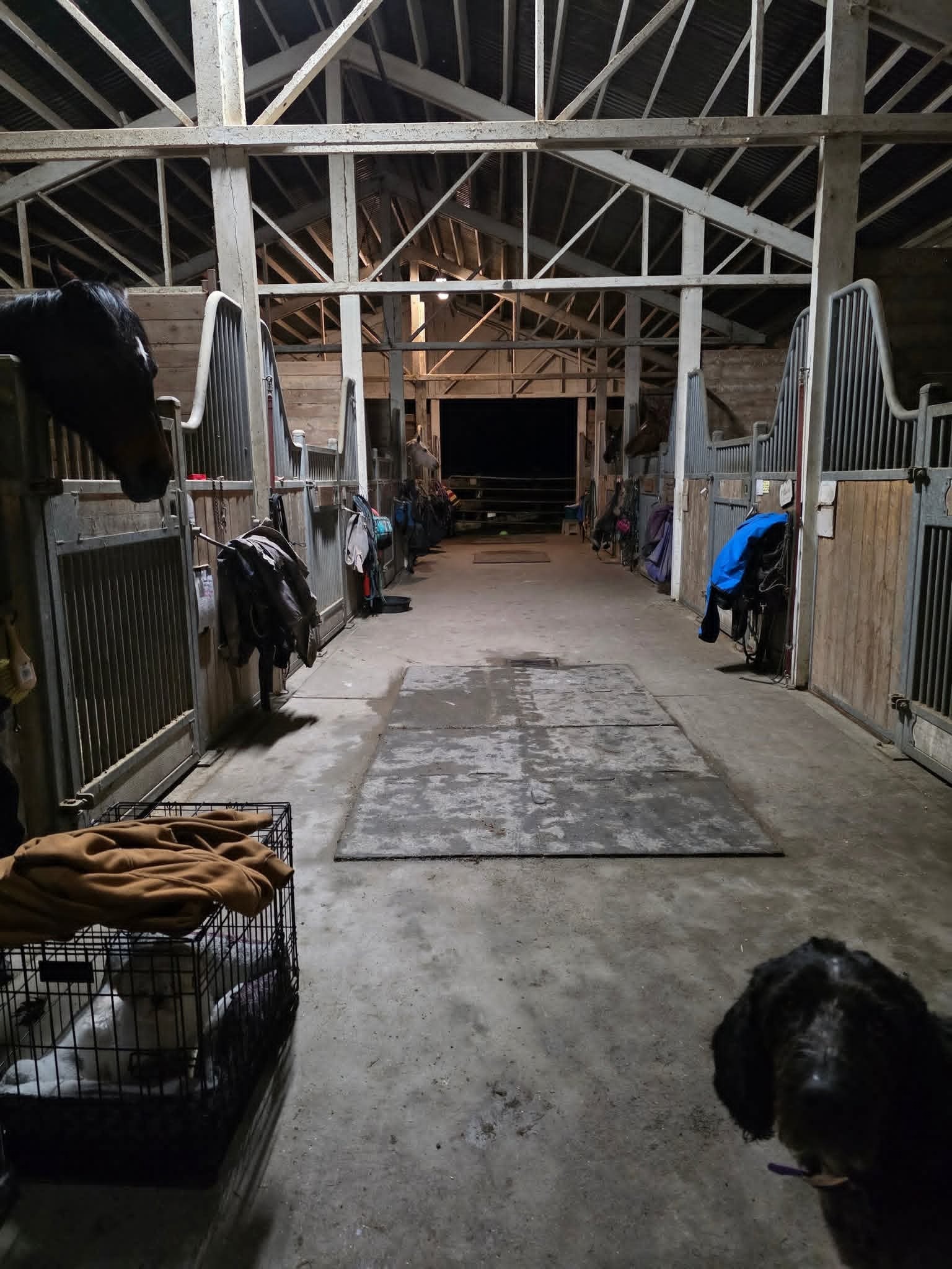 Help Cherry Creek Farm Rebuild After Catastrophic Flood campaign photo, 5 of 6