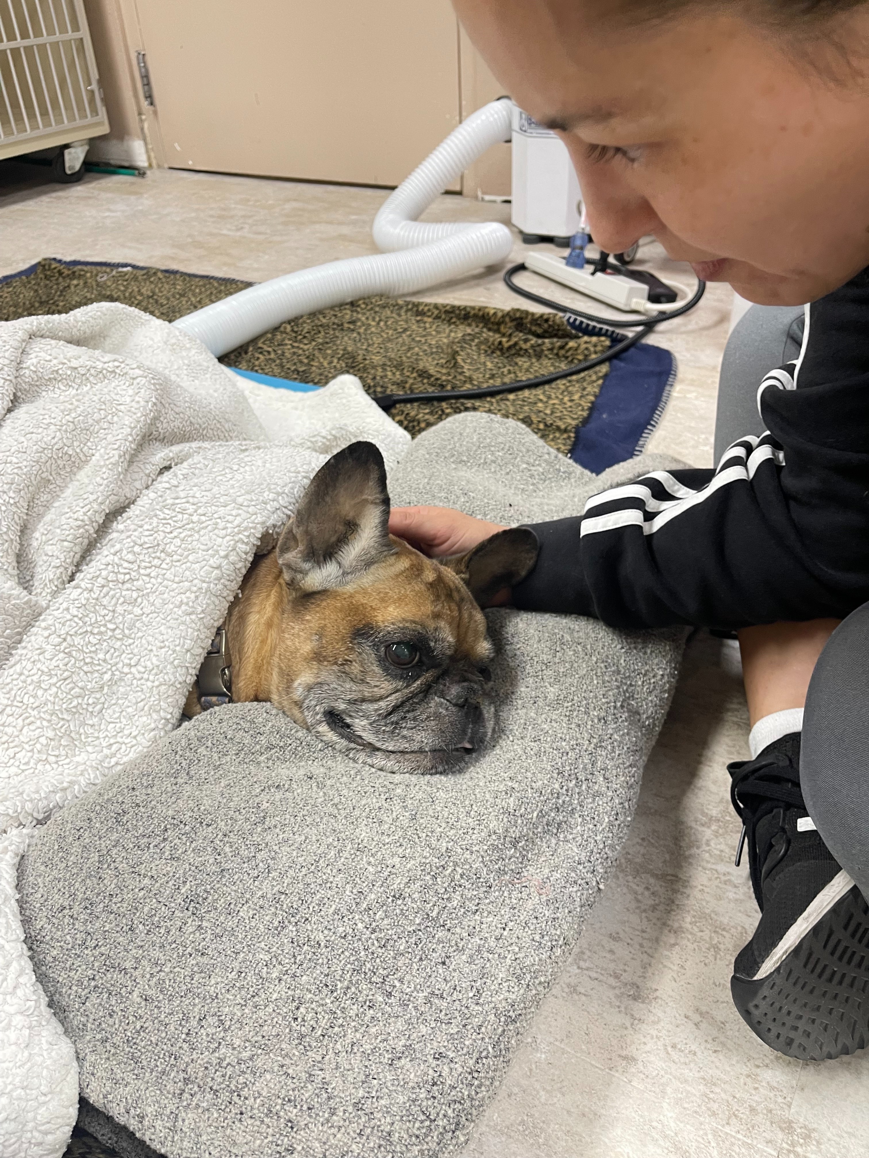 Help Stella Recover and Stay With Her Family campaign photo, 4 of 7