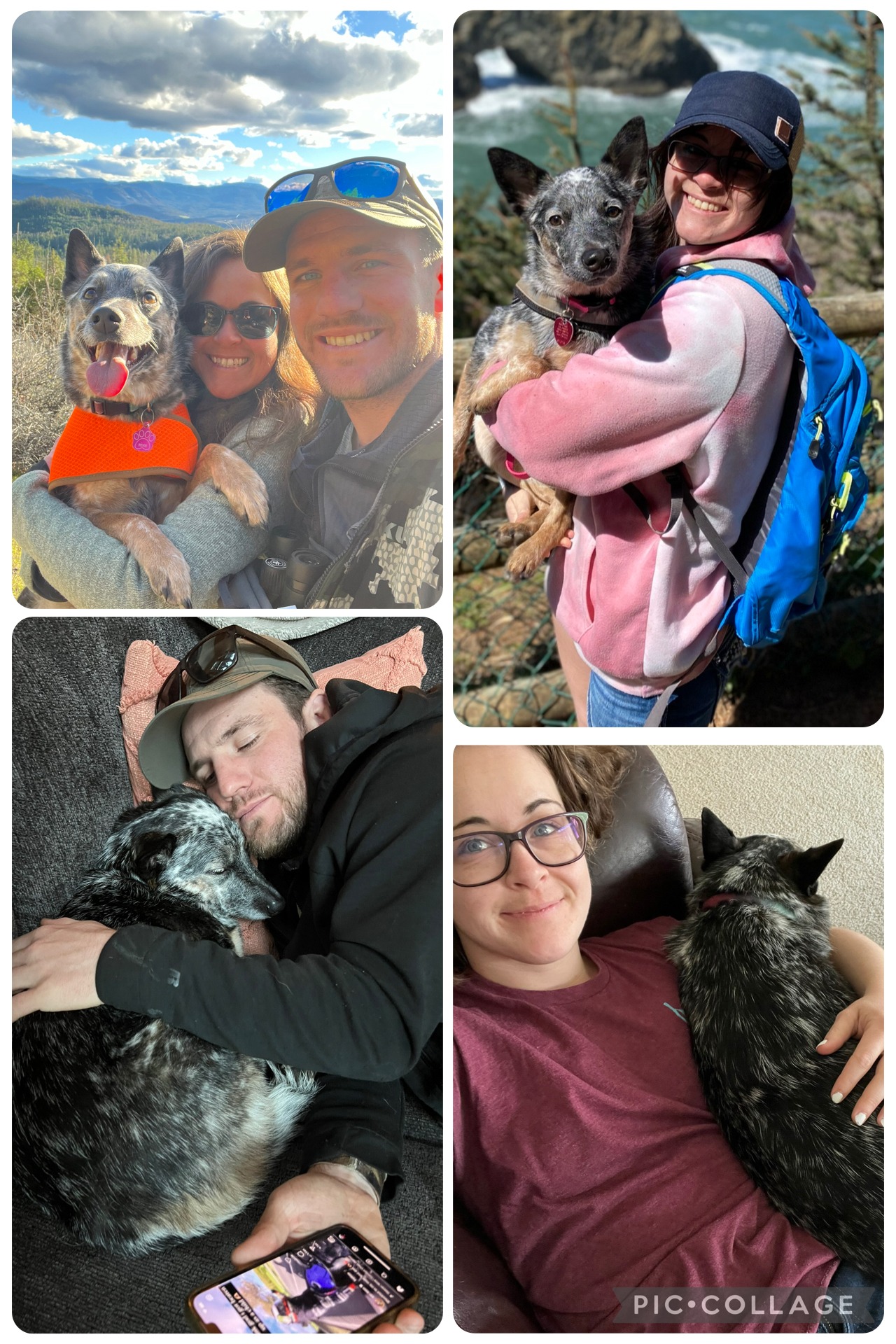 Help Rexie Fight for Her Life campaign photo, 6 of 7