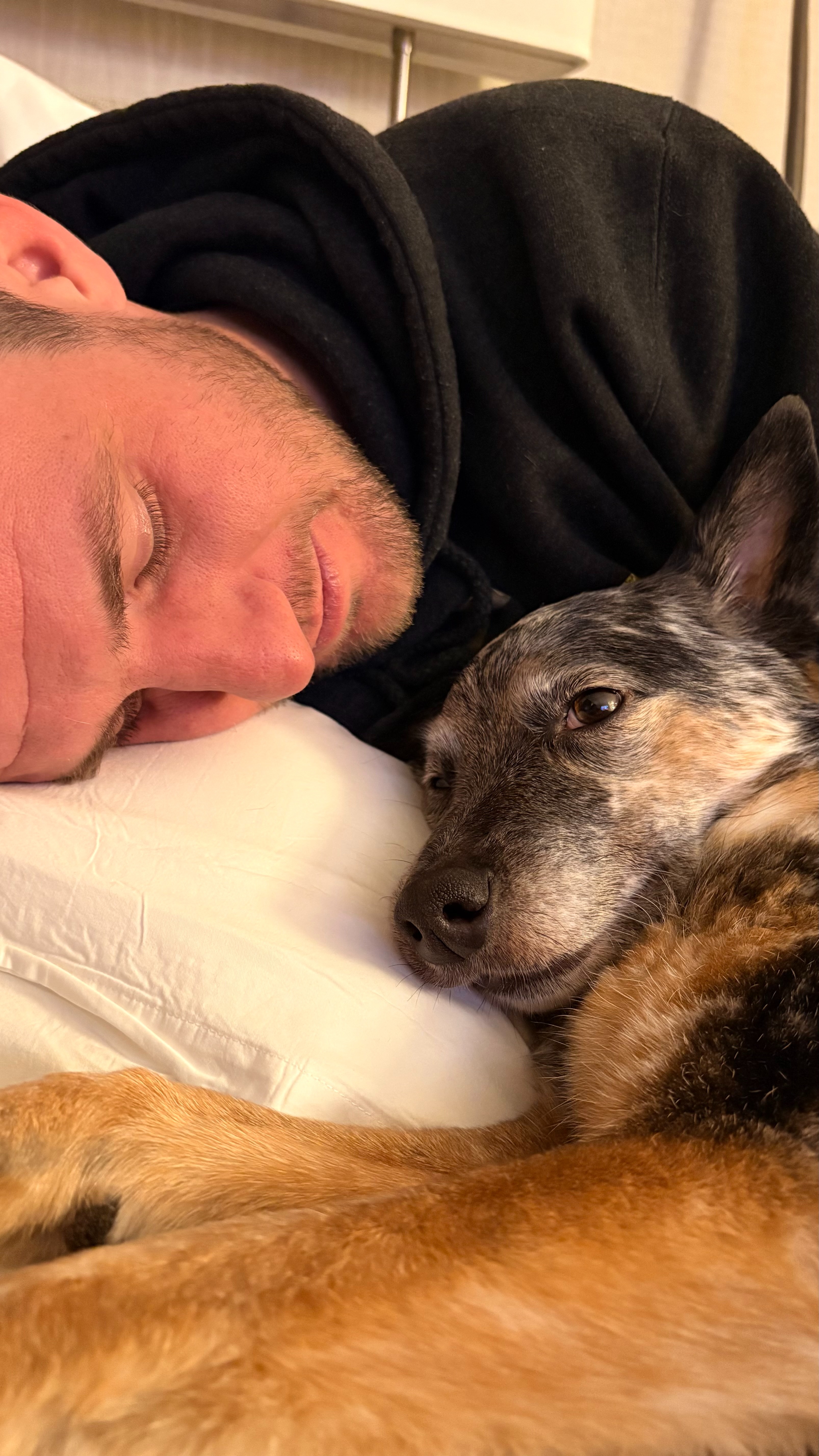 Help Rexie Fight for Her Life campaign photo, 5 of 7