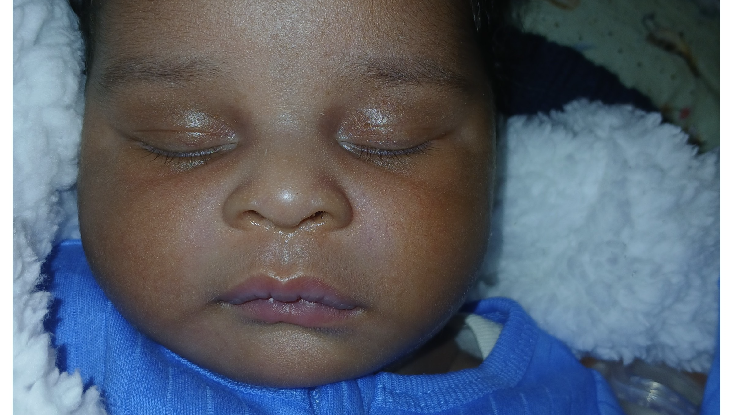 Help Kristina’s Family Find Shelter & Hope photo