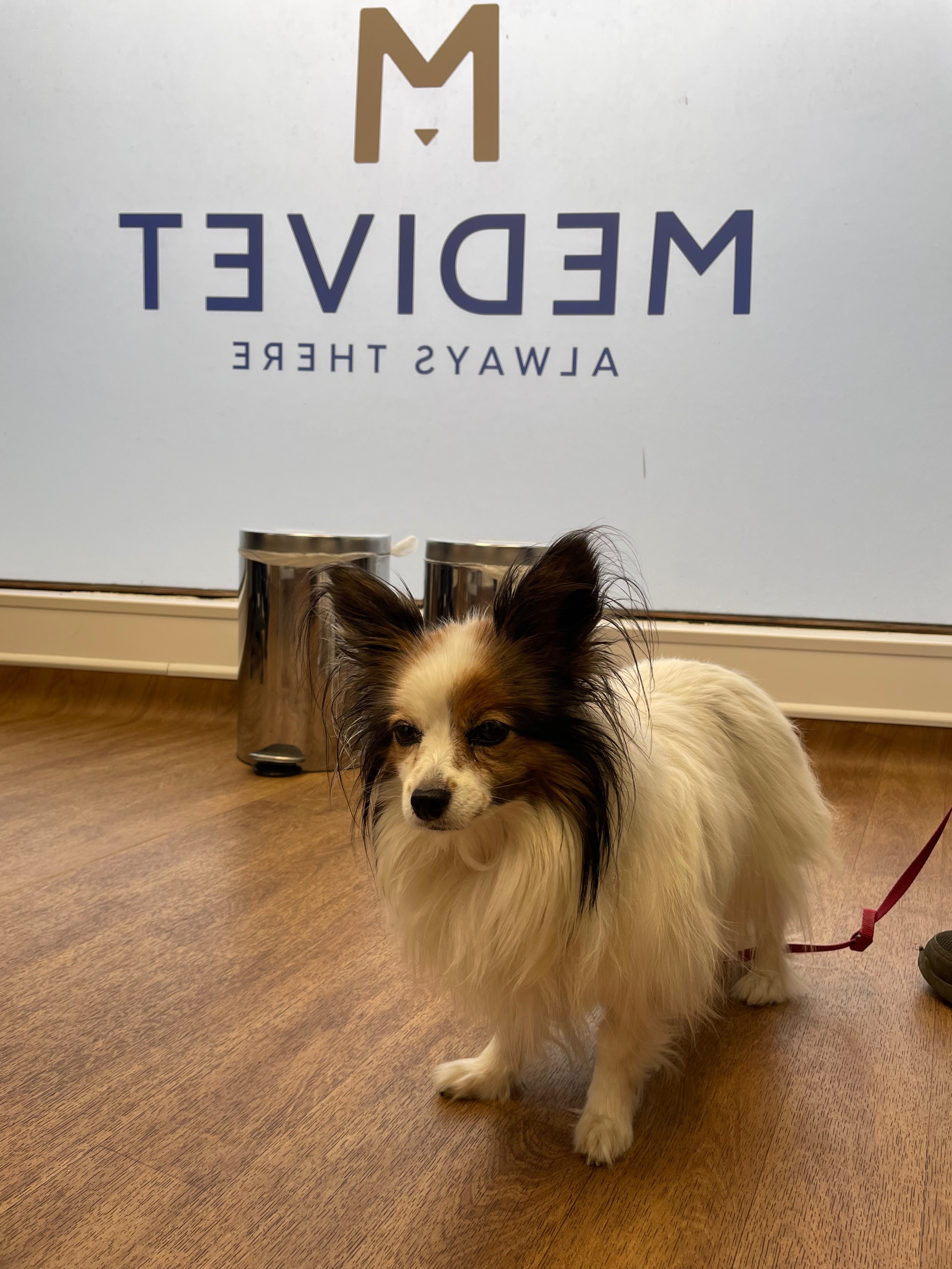 Help with Ithaque's treatment campaign photo, 5 of 8