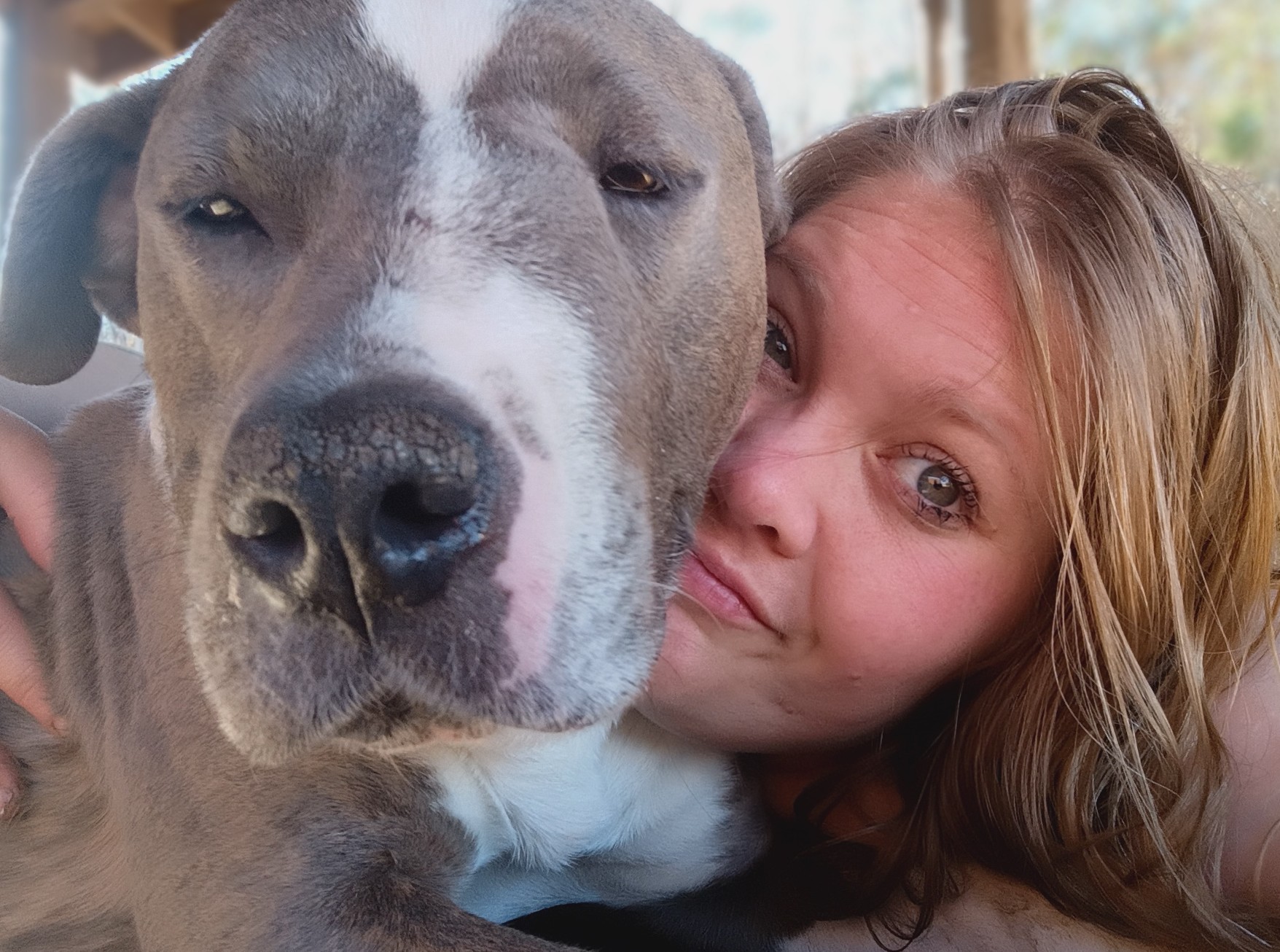 Paws for Rico: Urgent Medical Care Needed campaign photo, 2 of 8