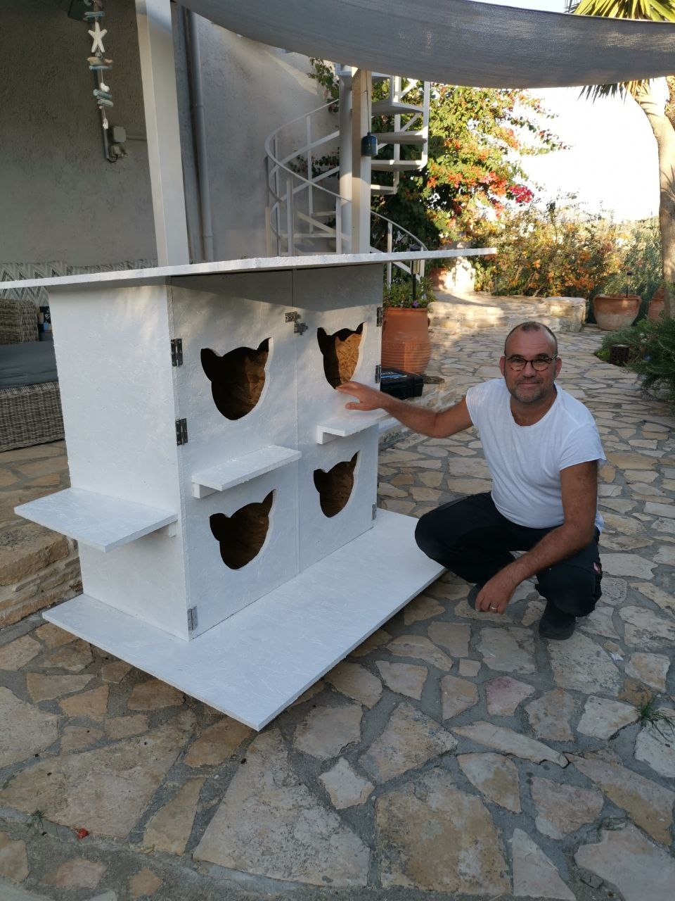 SOS for cats campaign photo, 4 of 8