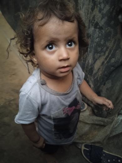 Emergency Aid for Elias Abu Taha’s Displaced Family in Gaza campaign photo, 6 of 8