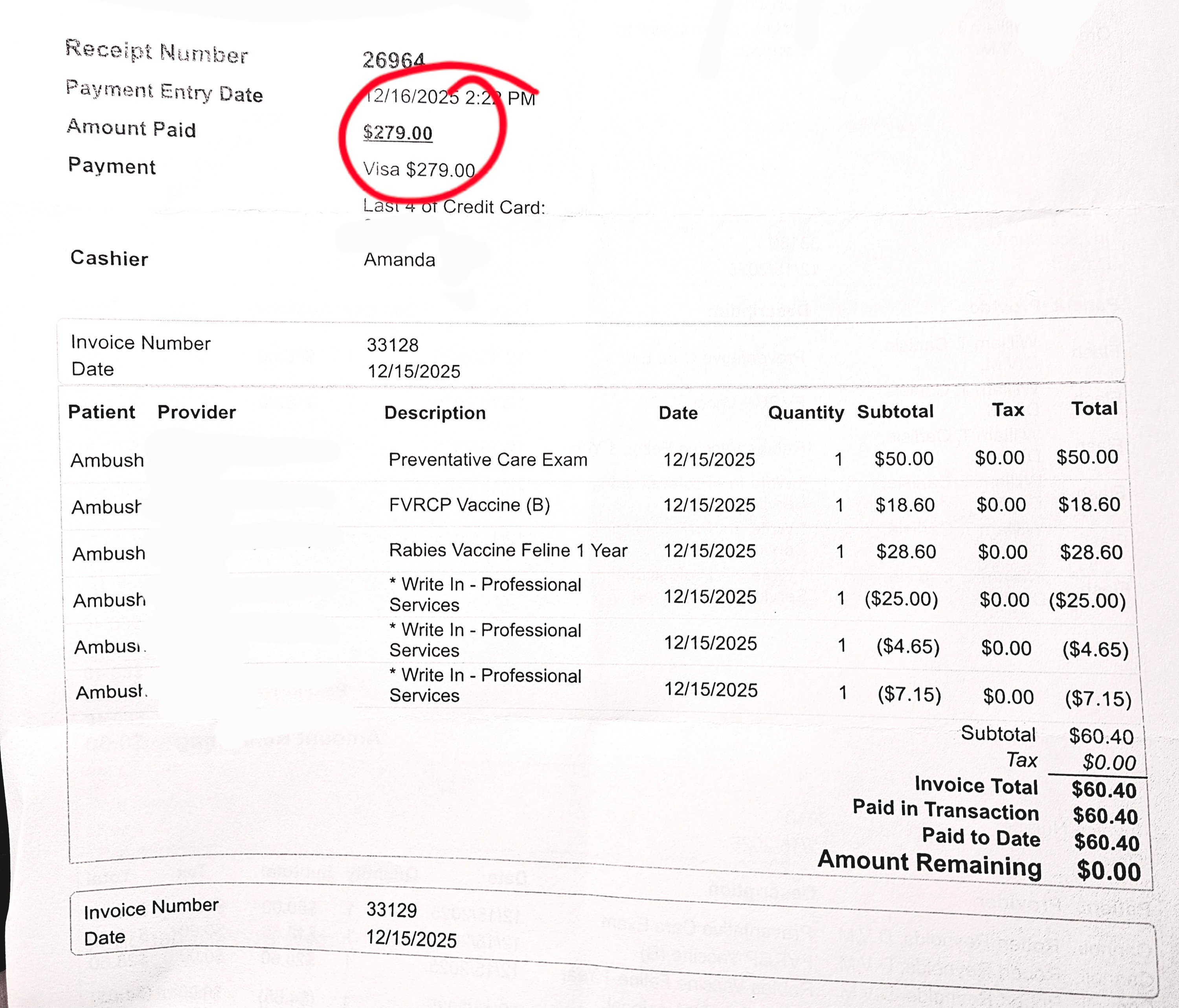 Help the wee muffins get vaccinated and neutered. campaign photo, 4 of 5