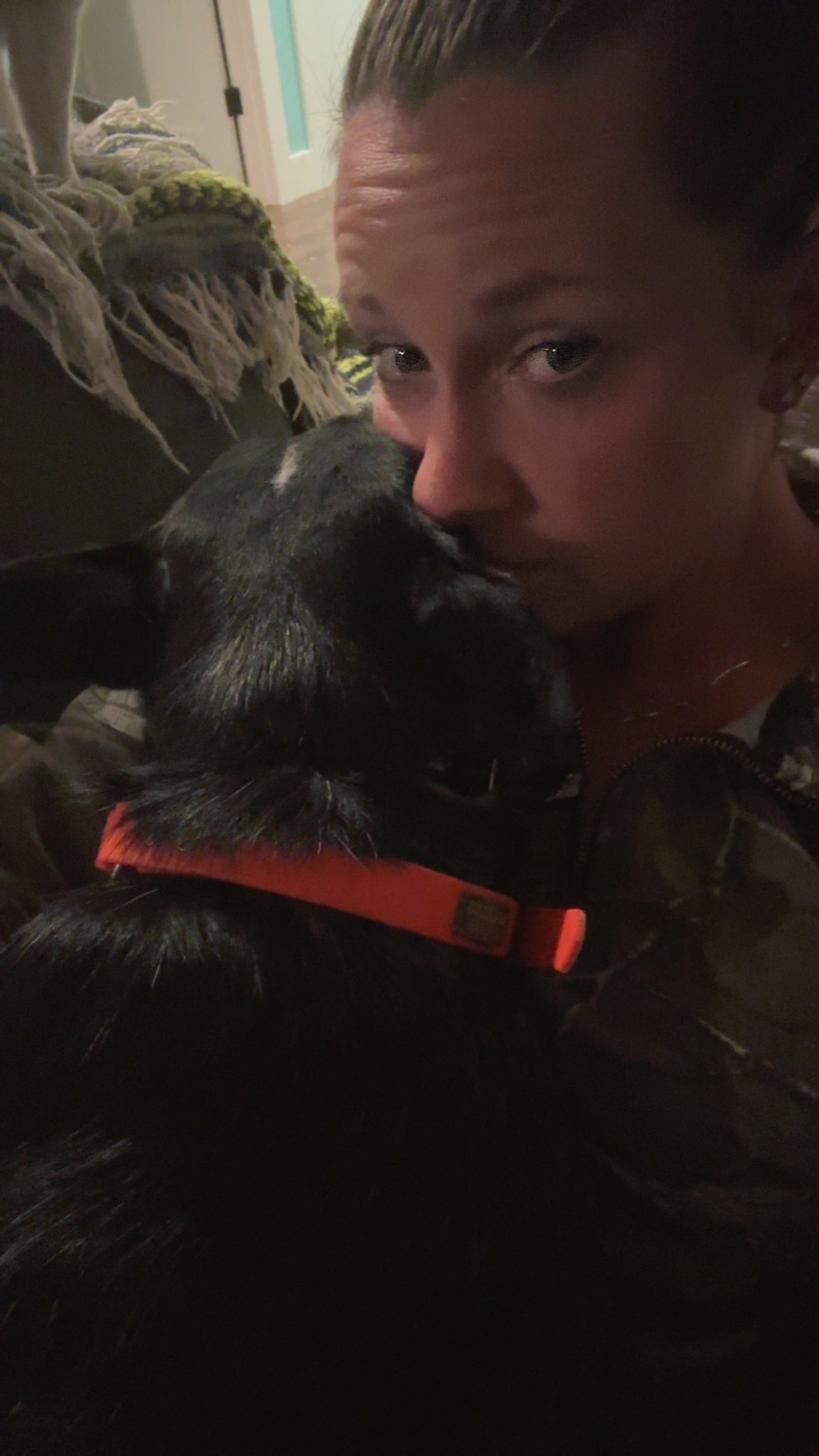 Support Amy's Dog Through Urgent Surgery campaign photo, 5 of 6