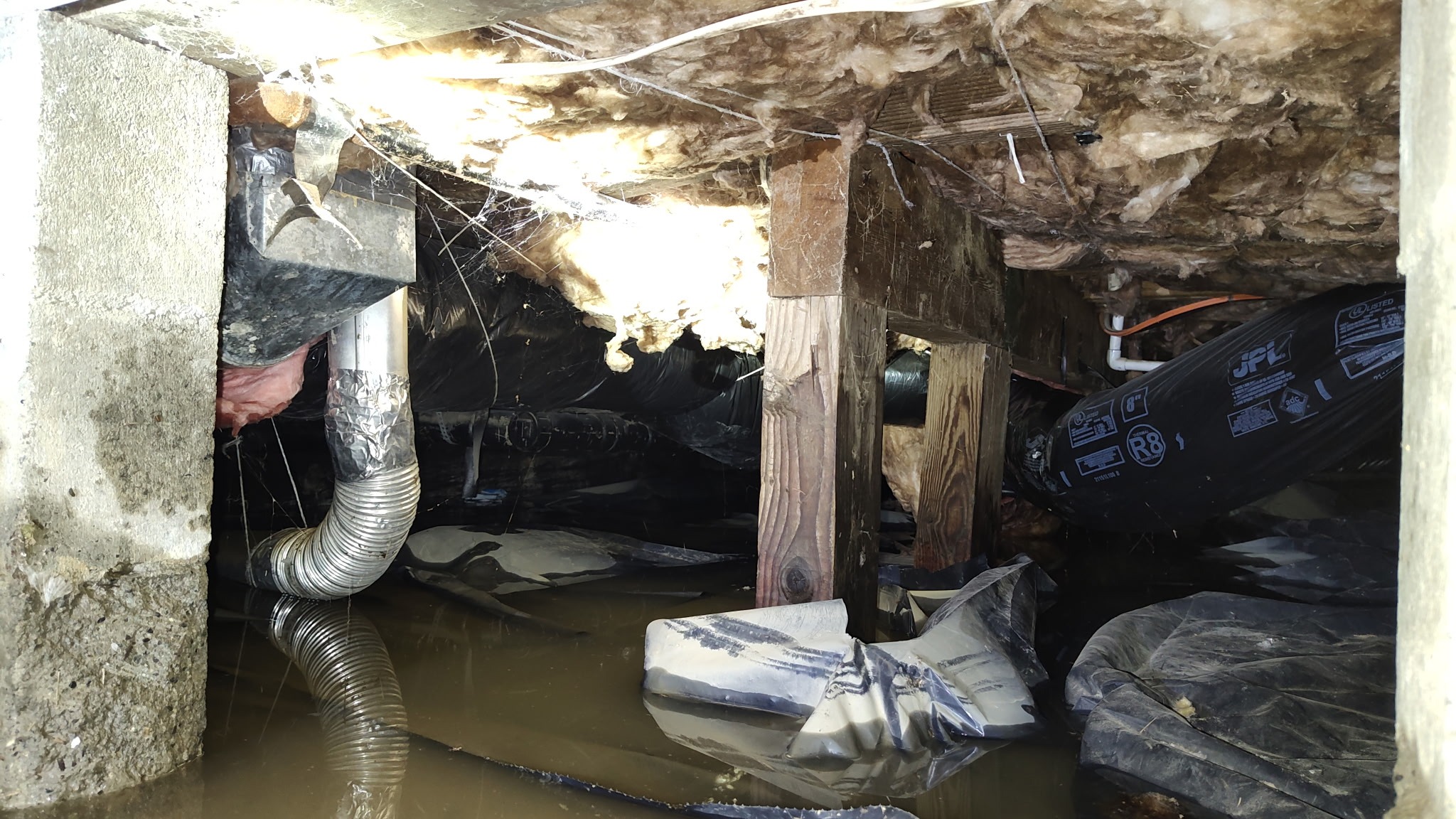 Help the Wades Recover from Sumas Flooding campaign photo, 7 of 8