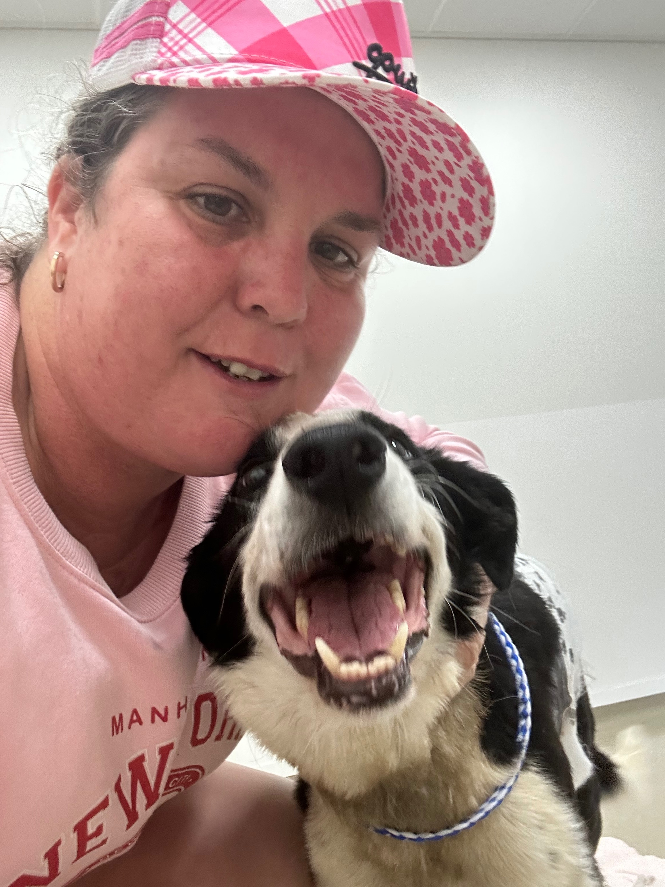 Help bring Laddie home healthy campaign photo, 2 of 4