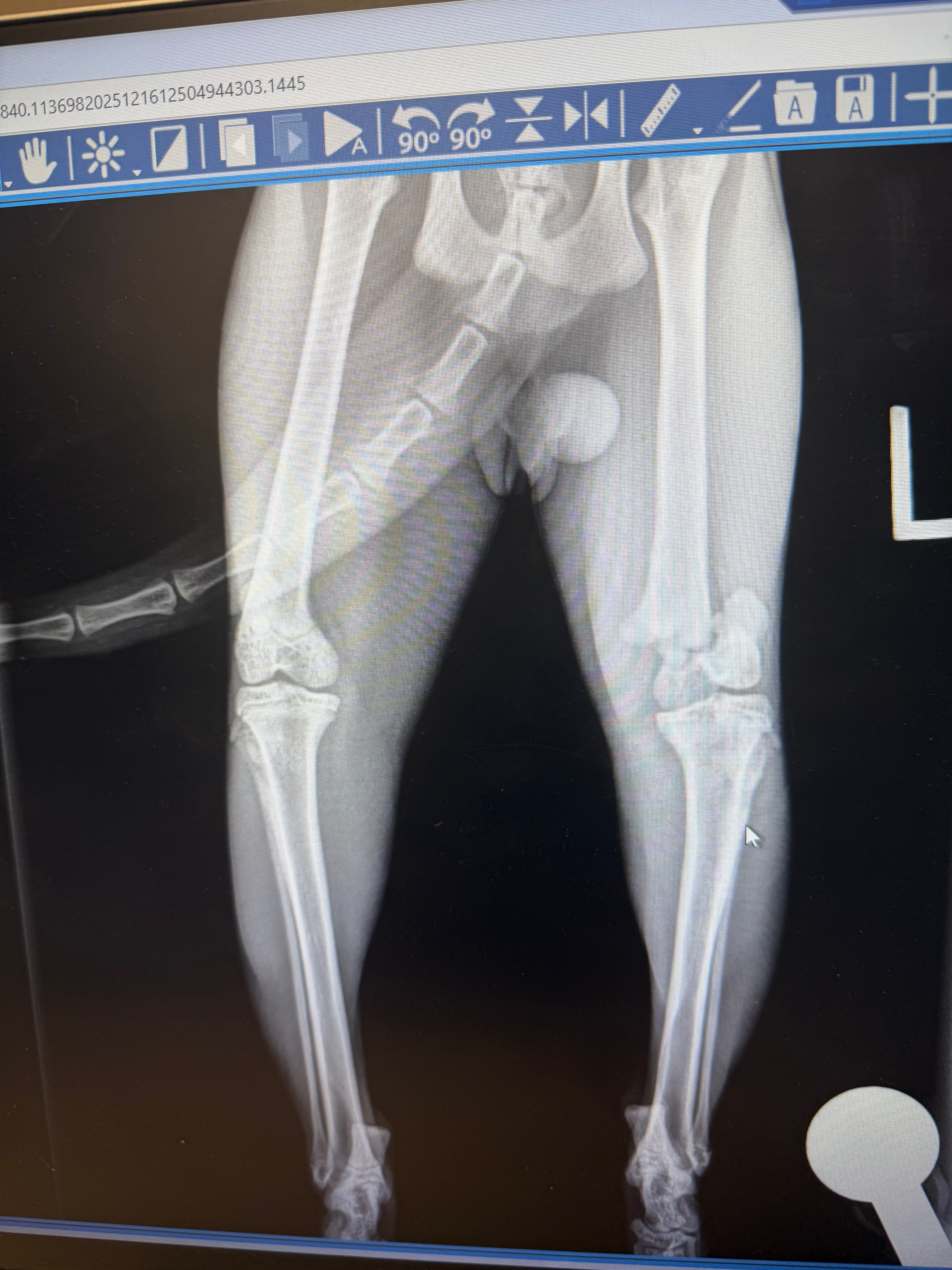 Fundraiser by Sanah Afzalee : Support Kitty's Surgery & Recovery