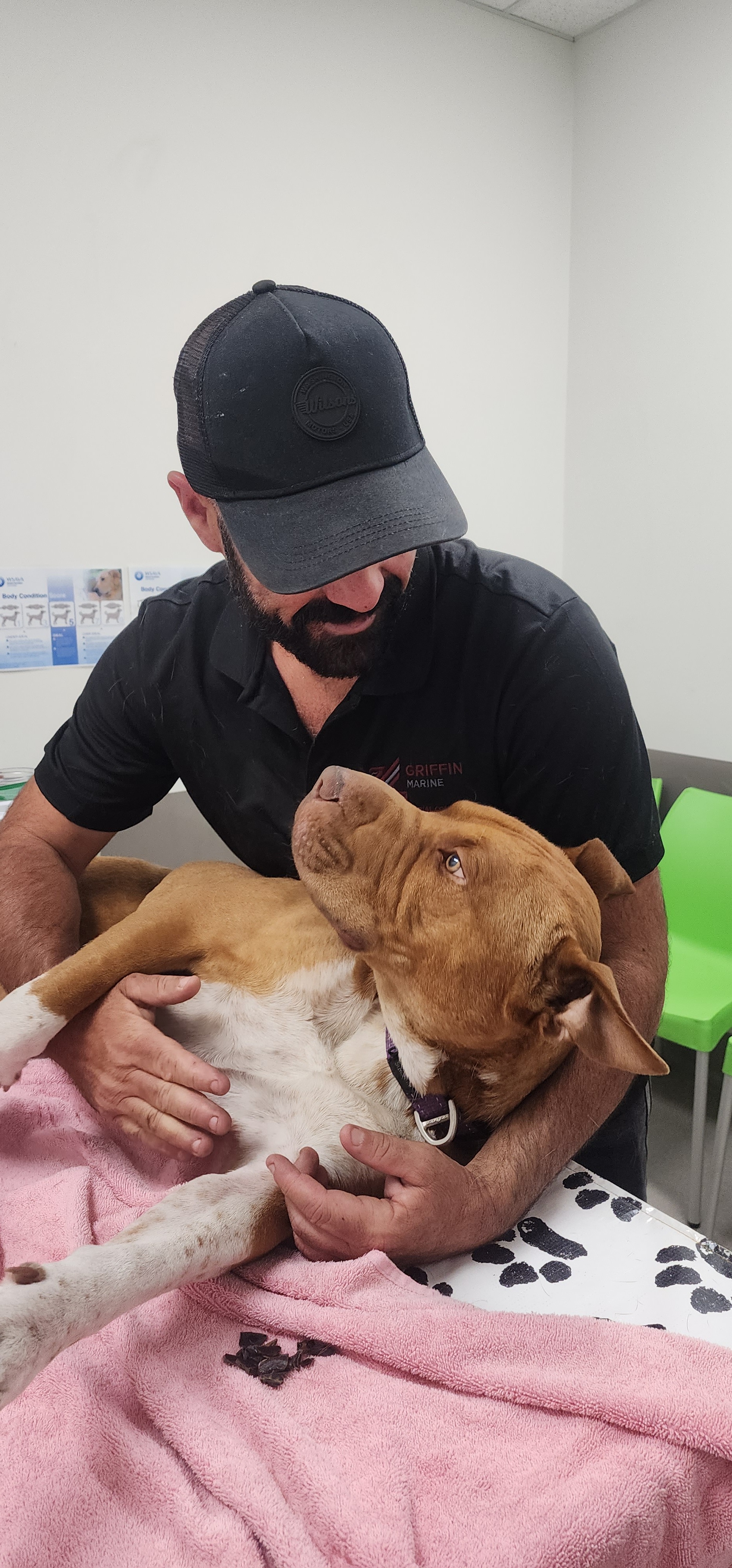 Please help Pavs Pelvic surgery campaign photo, 2 of 5