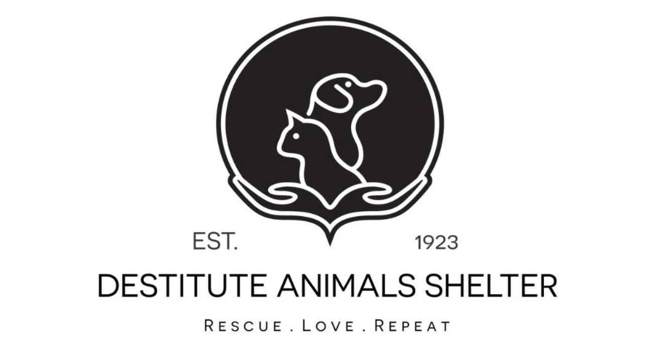 Christmas Gifts for Animals in Shelters ❤️ campaign photo, 2 of 4