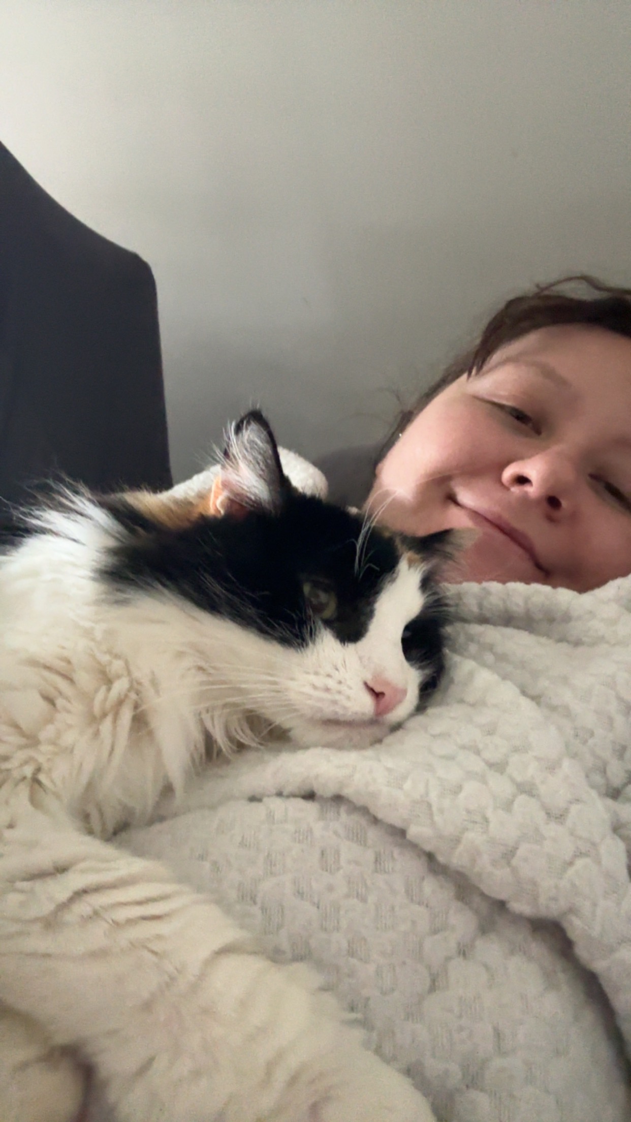 Help Tinkerbell get life-saving surgery campaign photo, 7 of 7