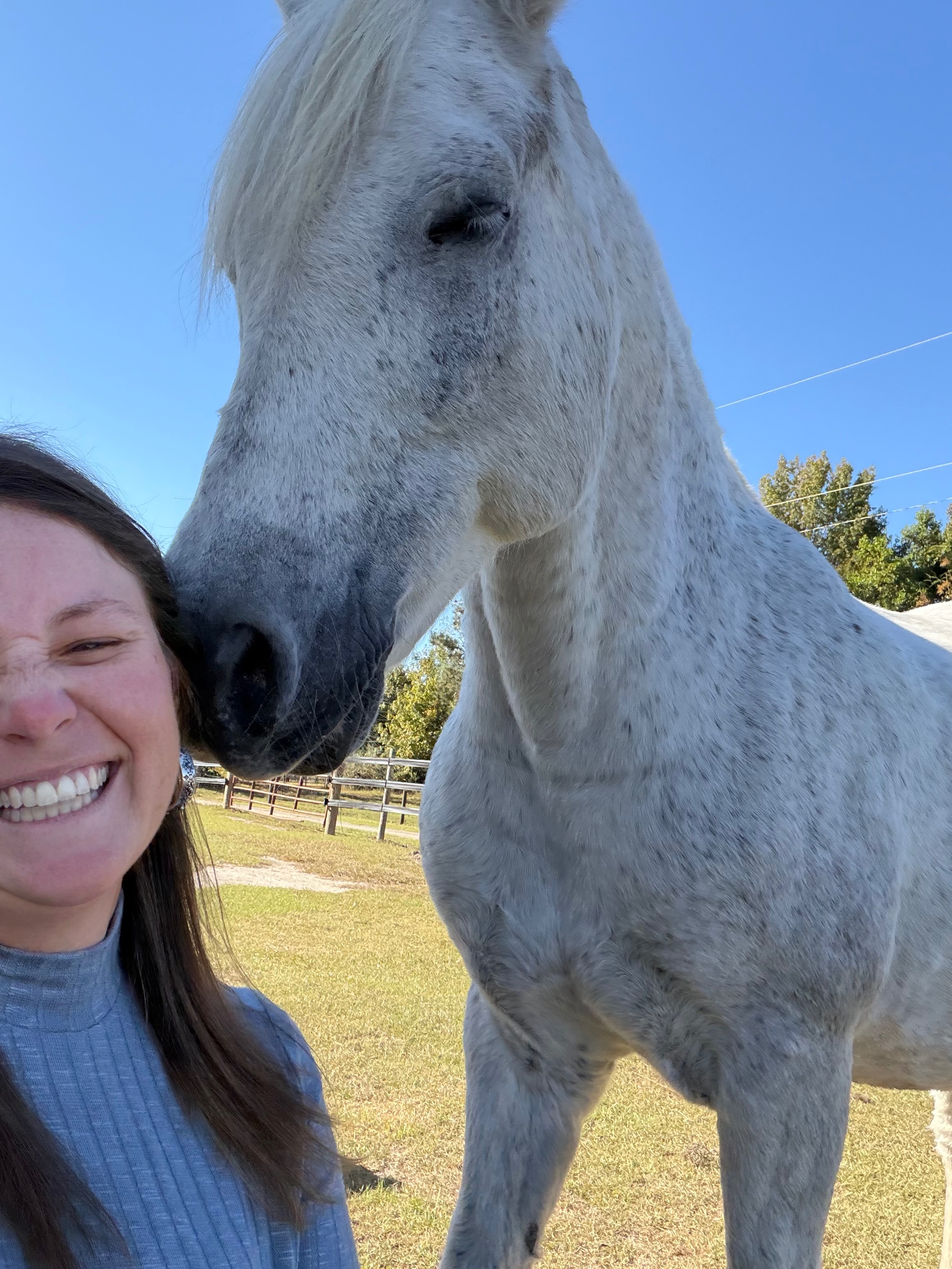 Ms. Kayleigh’s Equine Mental Health Certification campaign photo, 4 of 5