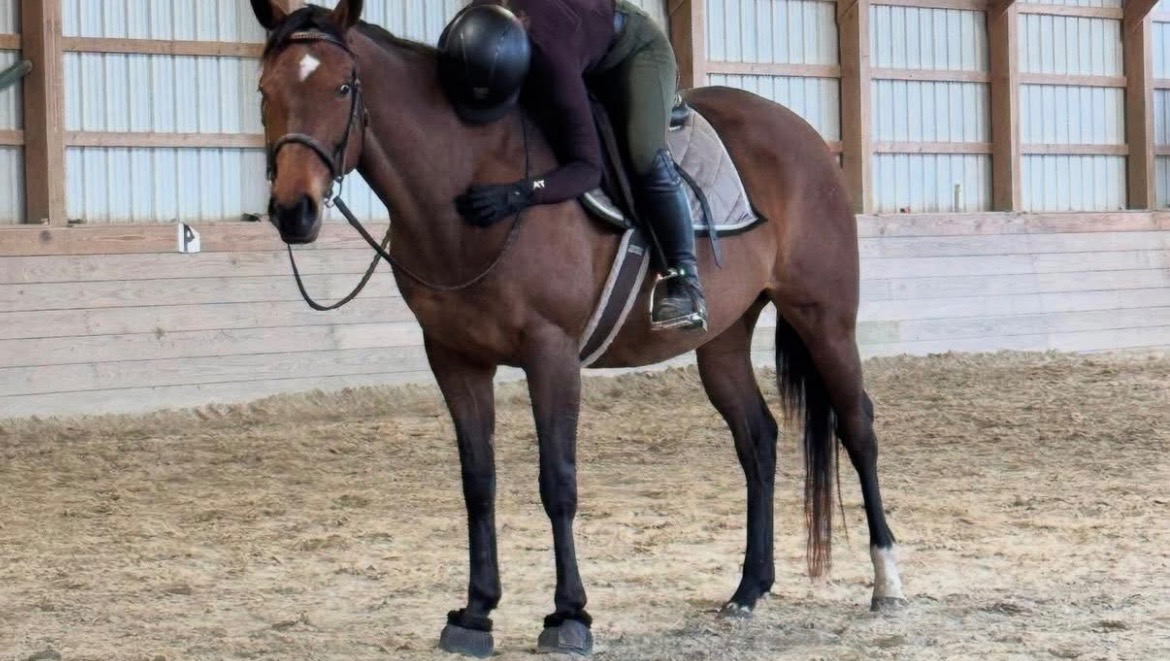 Healing Hearts at J’s Thunderhearts Sanctuary & Ranch pinned link photo