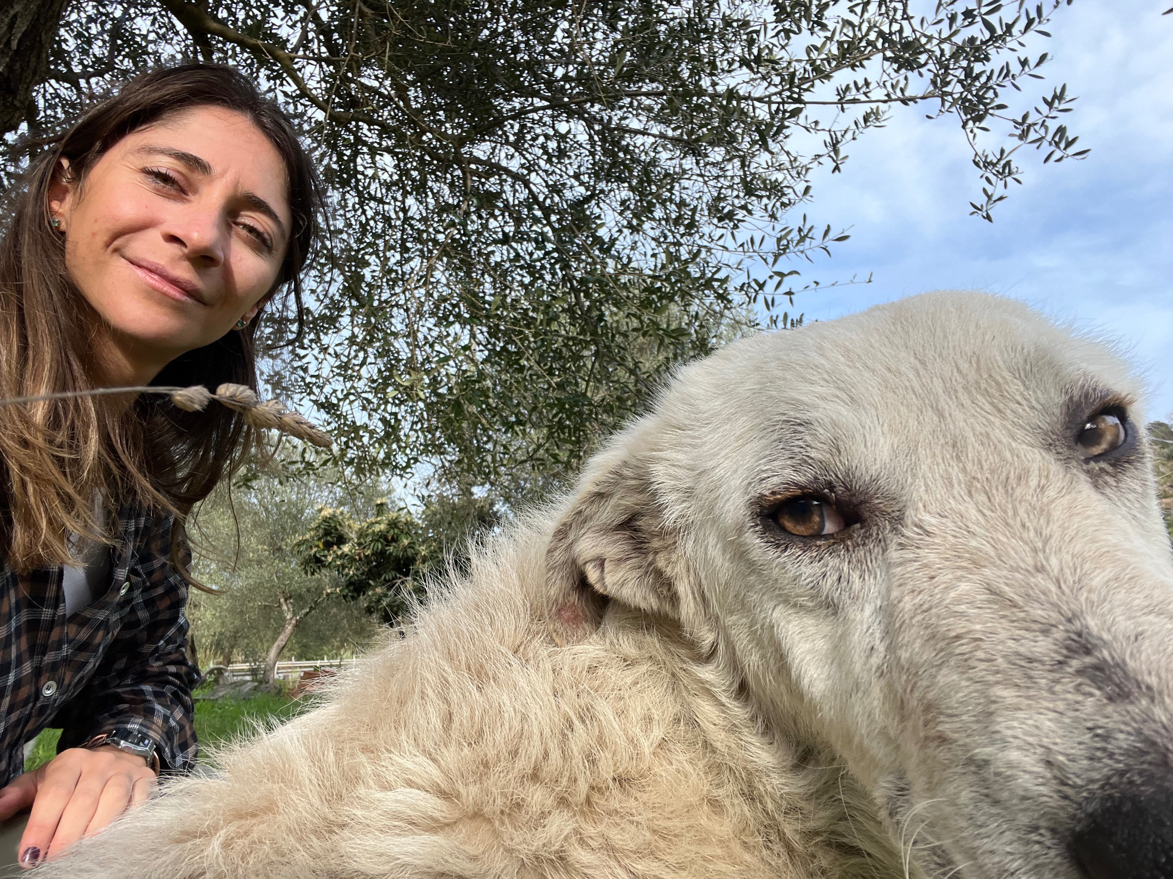 Dona per aiutare a proteggere e curare gli animali campaign photo, 4 of 7