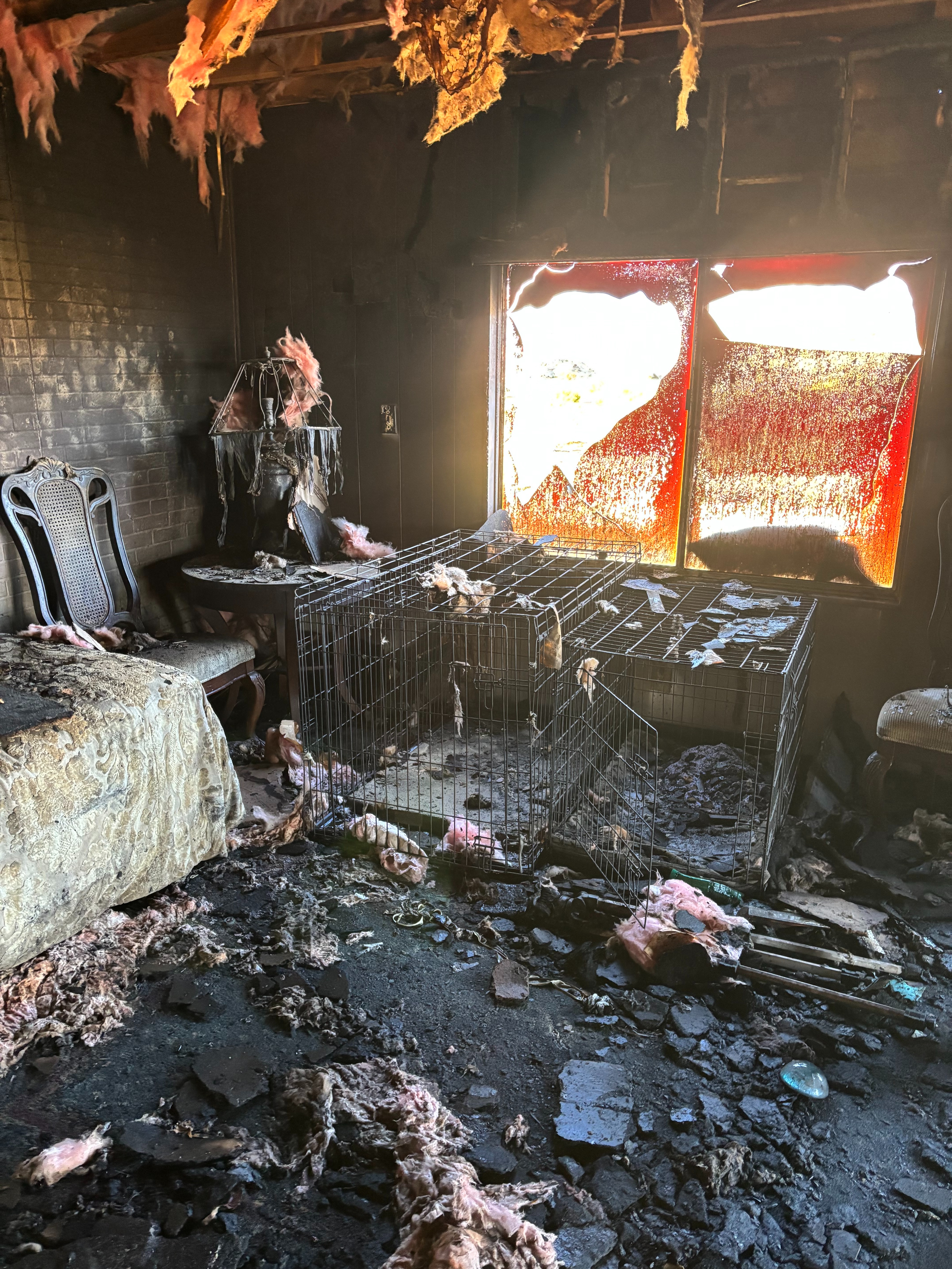 Deborah Collins has lost her home & office in a fire campaign photo, 5 of 7