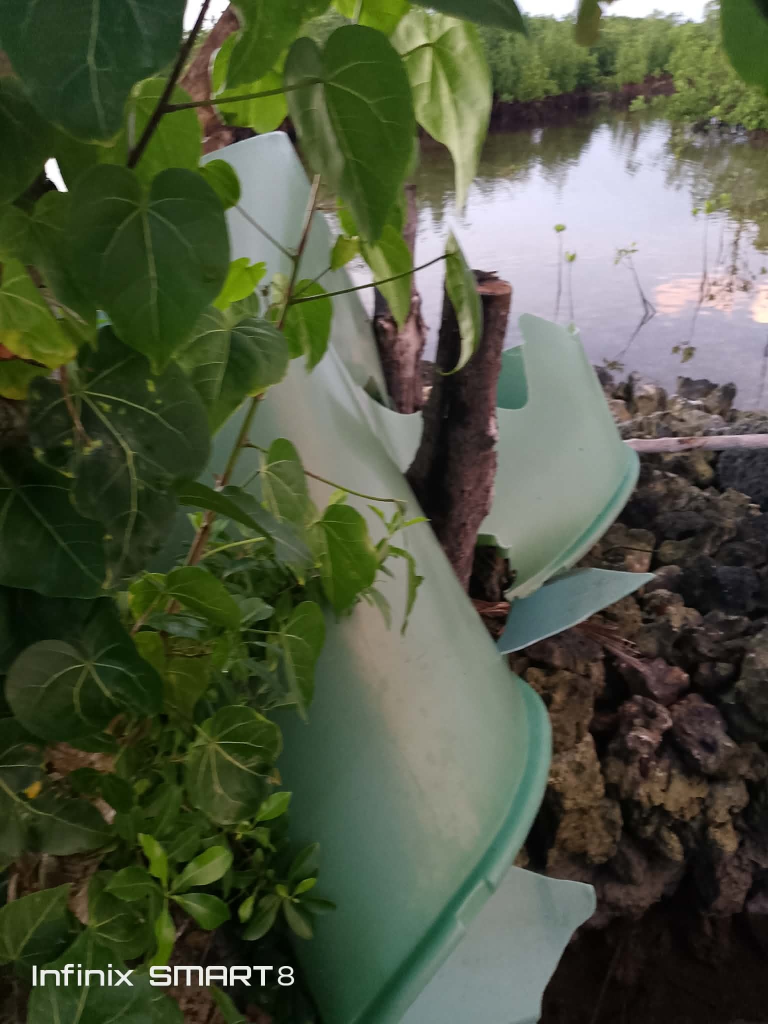 Help restore clean water for Taflabana Guest House campaign photo, 5 of 8
