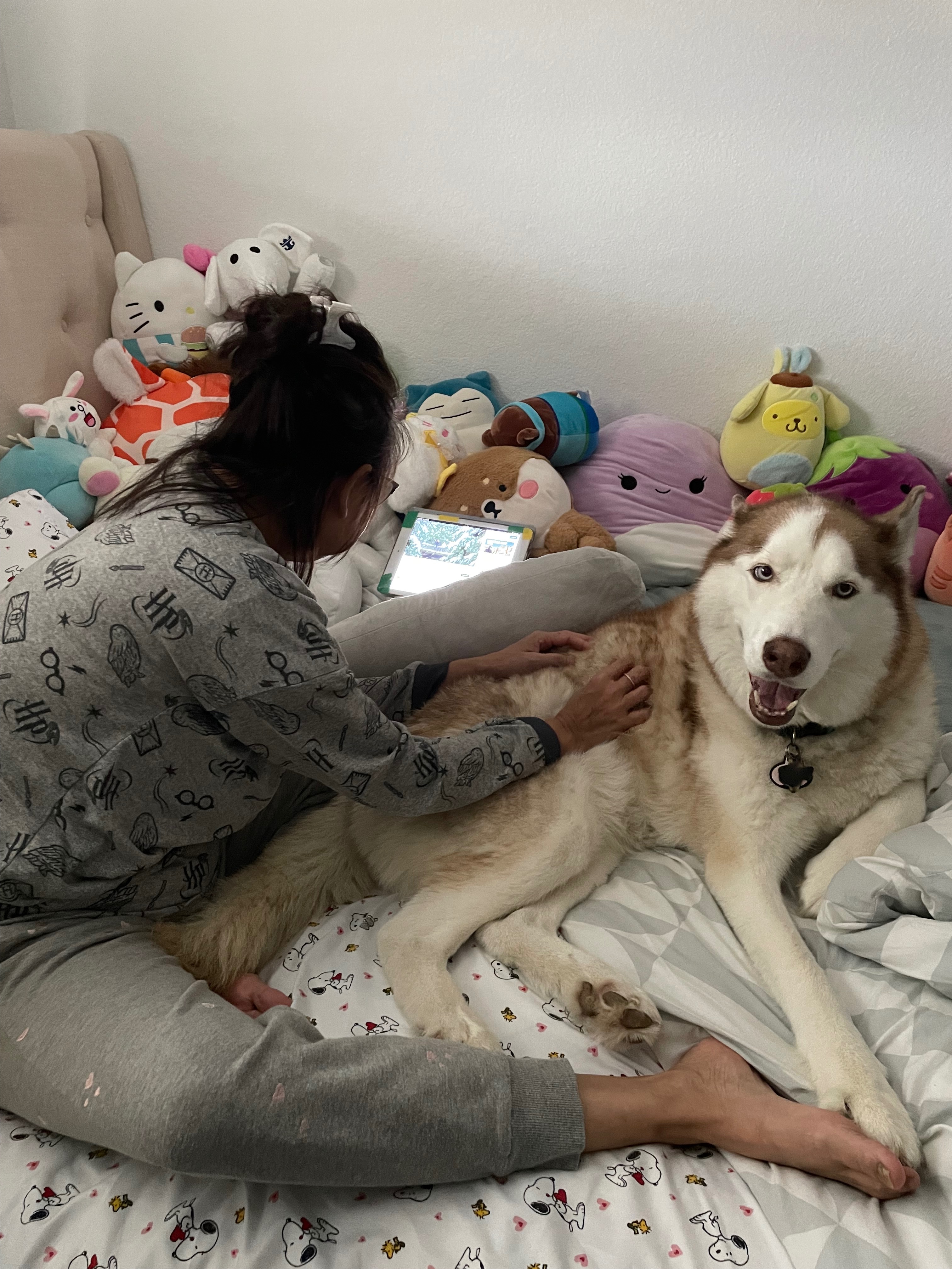 Help Save Bailey from Bone Cancer campaign photo, 5 of 7