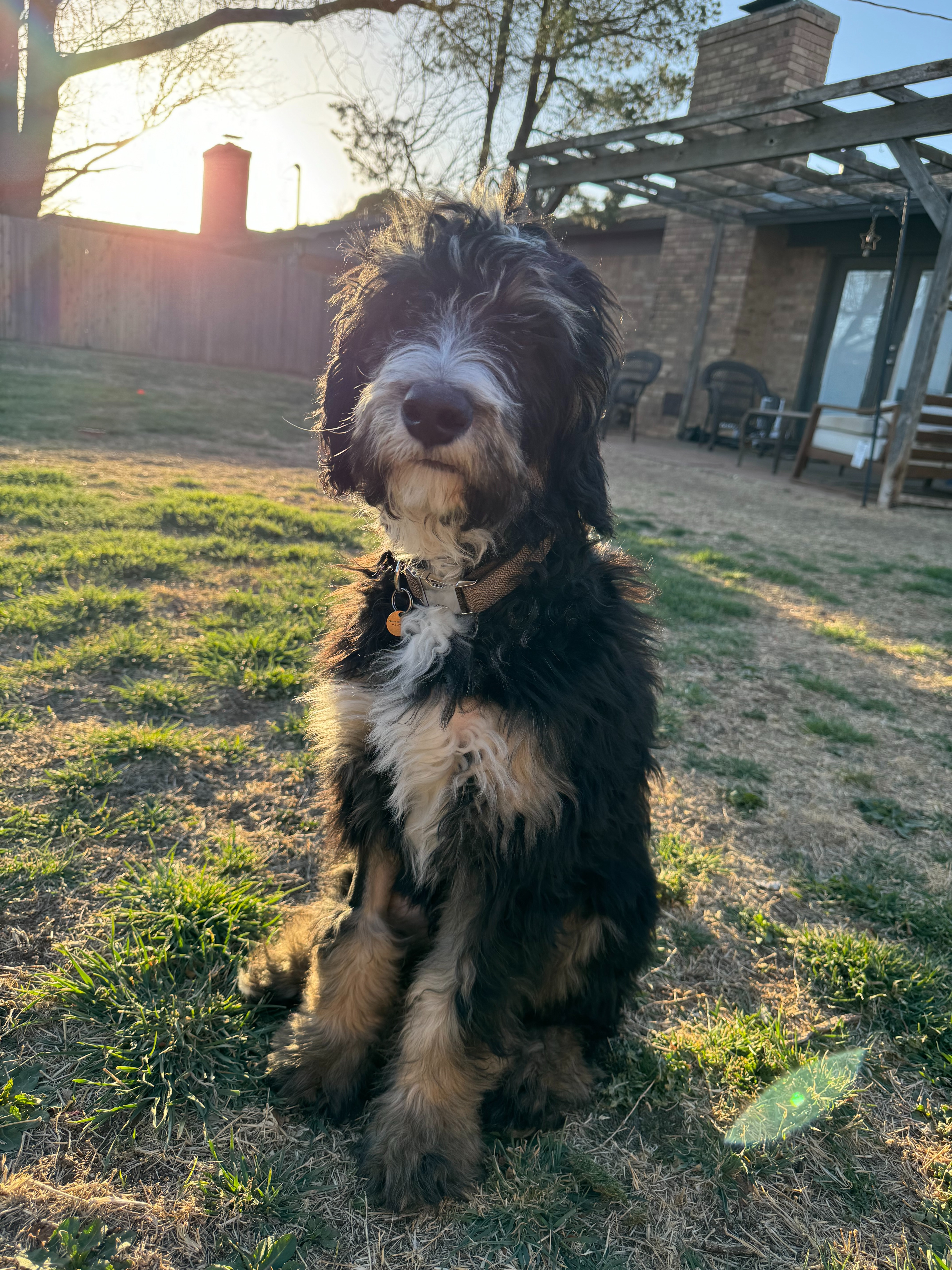 Help Oliver Get His Hip Surgery campaign photo, 2 of 8