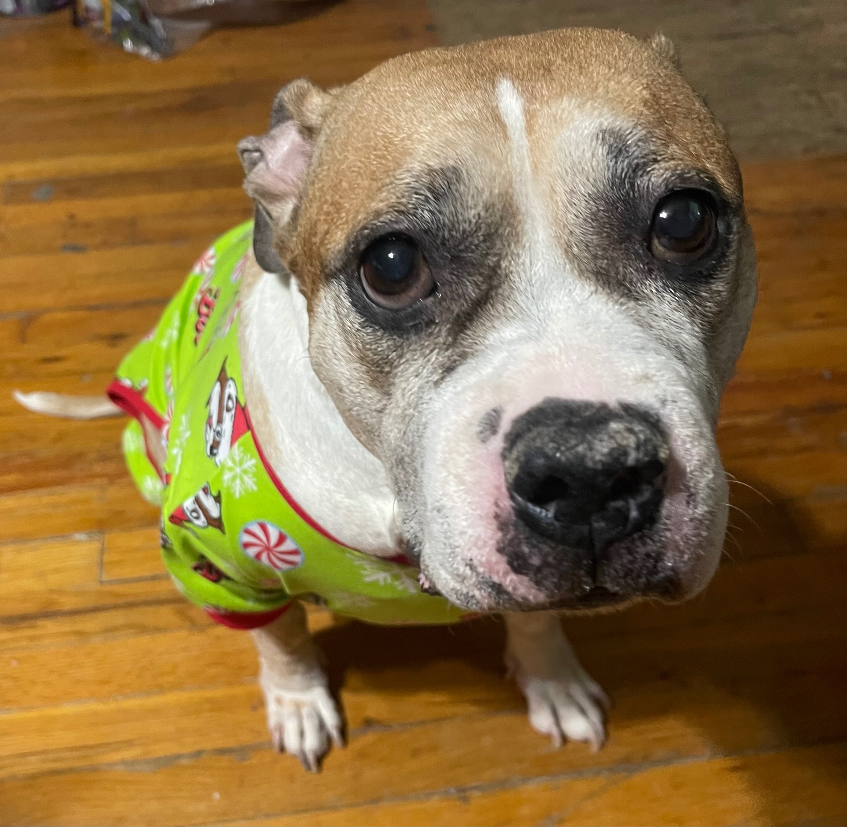 Help Khloe Get Her Christmas Miracle campaign photo, 4 of 7