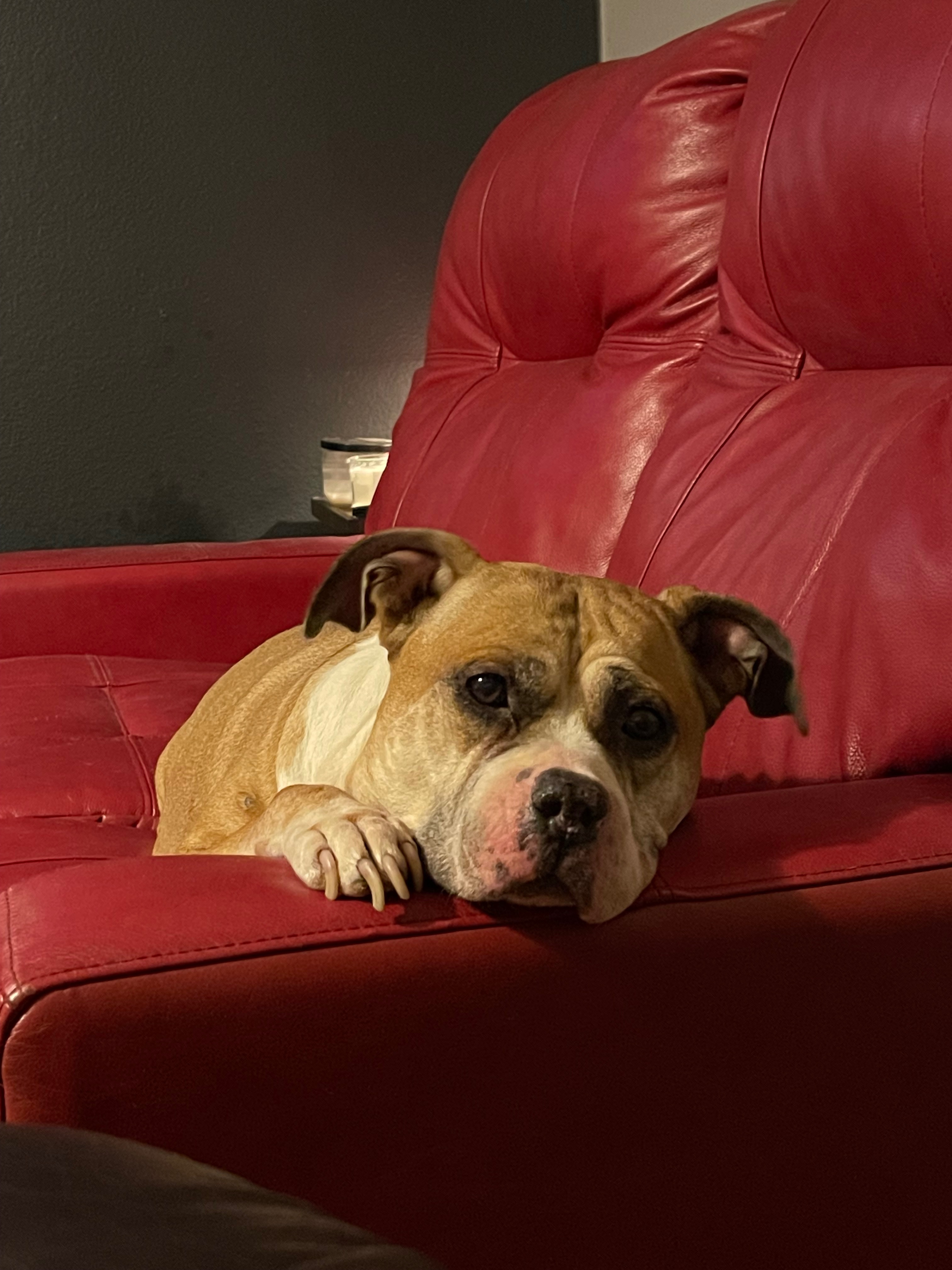Help Khloe Get Her Christmas Miracle campaign photo, 5 of 7