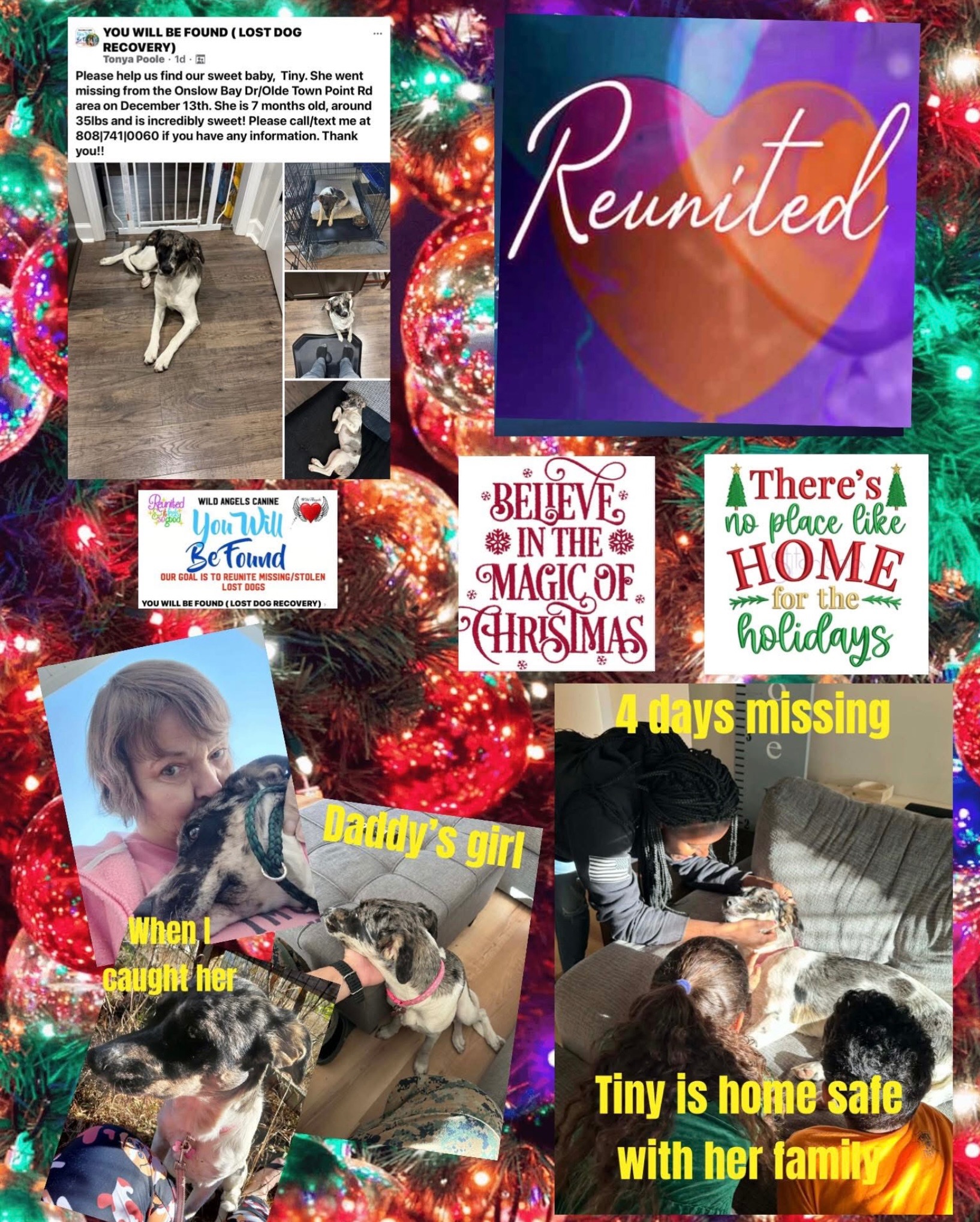 Reuniting Lost Furbabies with Love campaign photo, 4 of 8