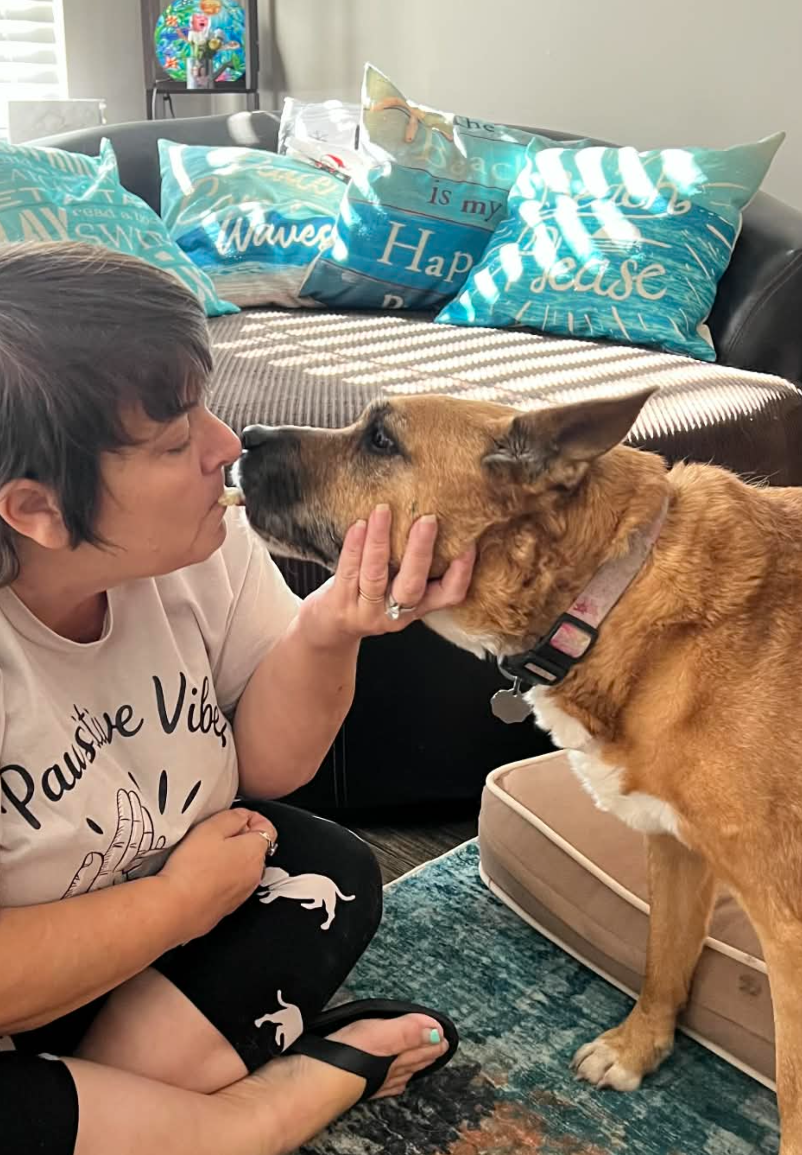 Reuniting Lost Furbabies with Love campaign photo, 5 of 8